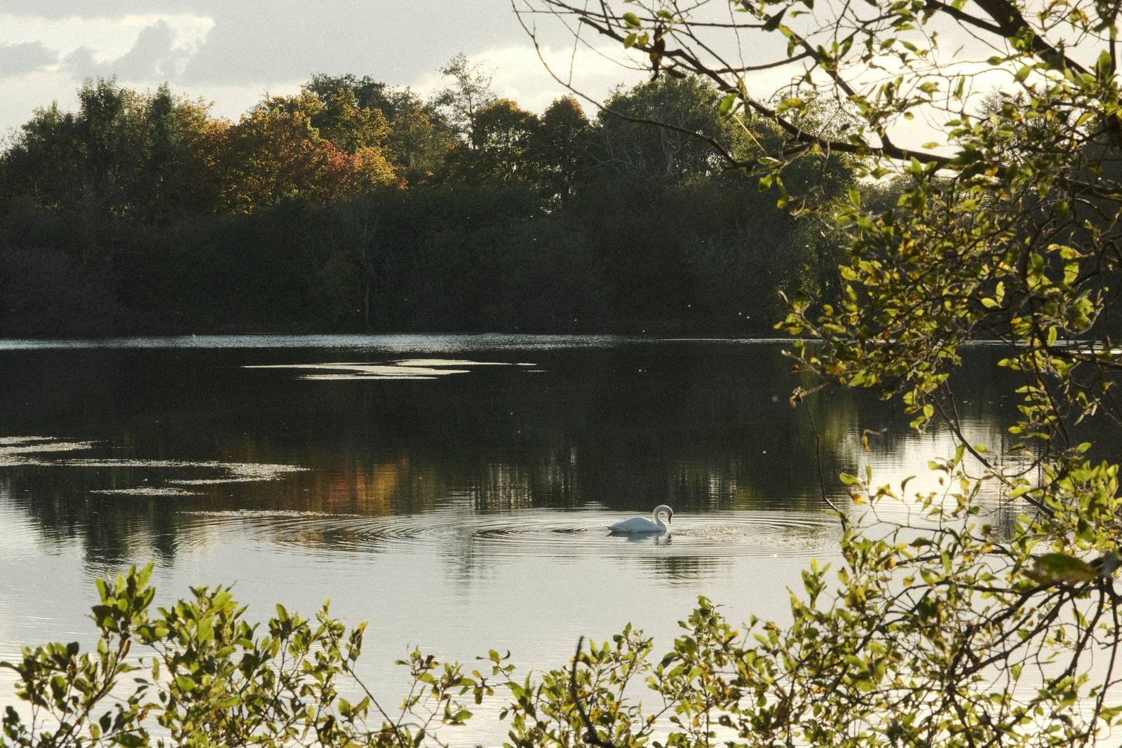 CineStill Daylight film recipe sample photo