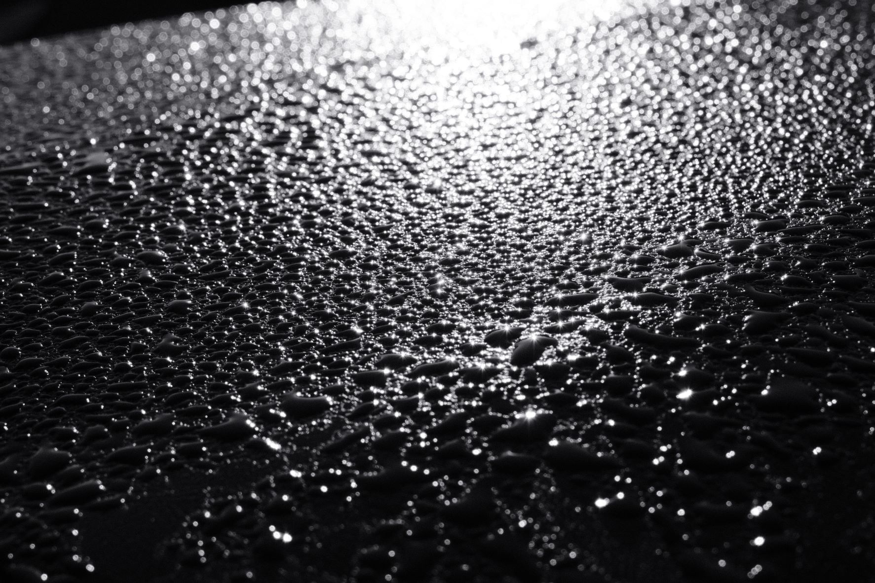 Silvertone 99 film recipe sample photo