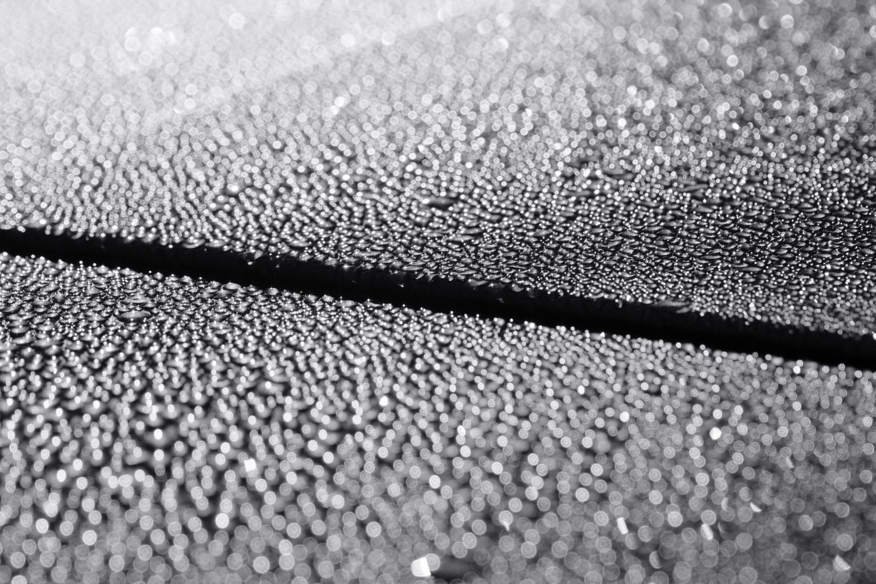 Silvertone 99 film recipe sample photo