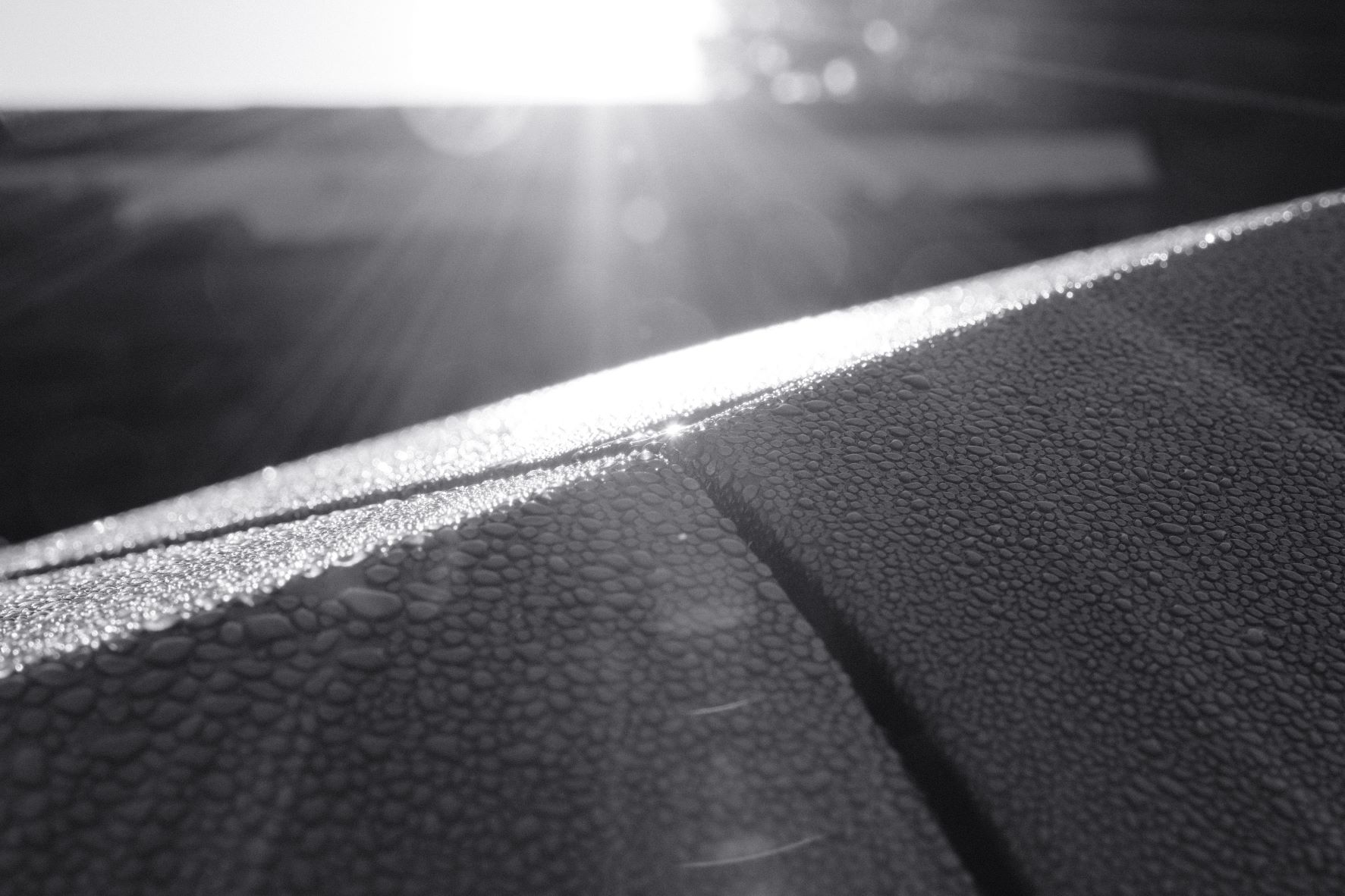 Silvertone 99 film recipe sample photo