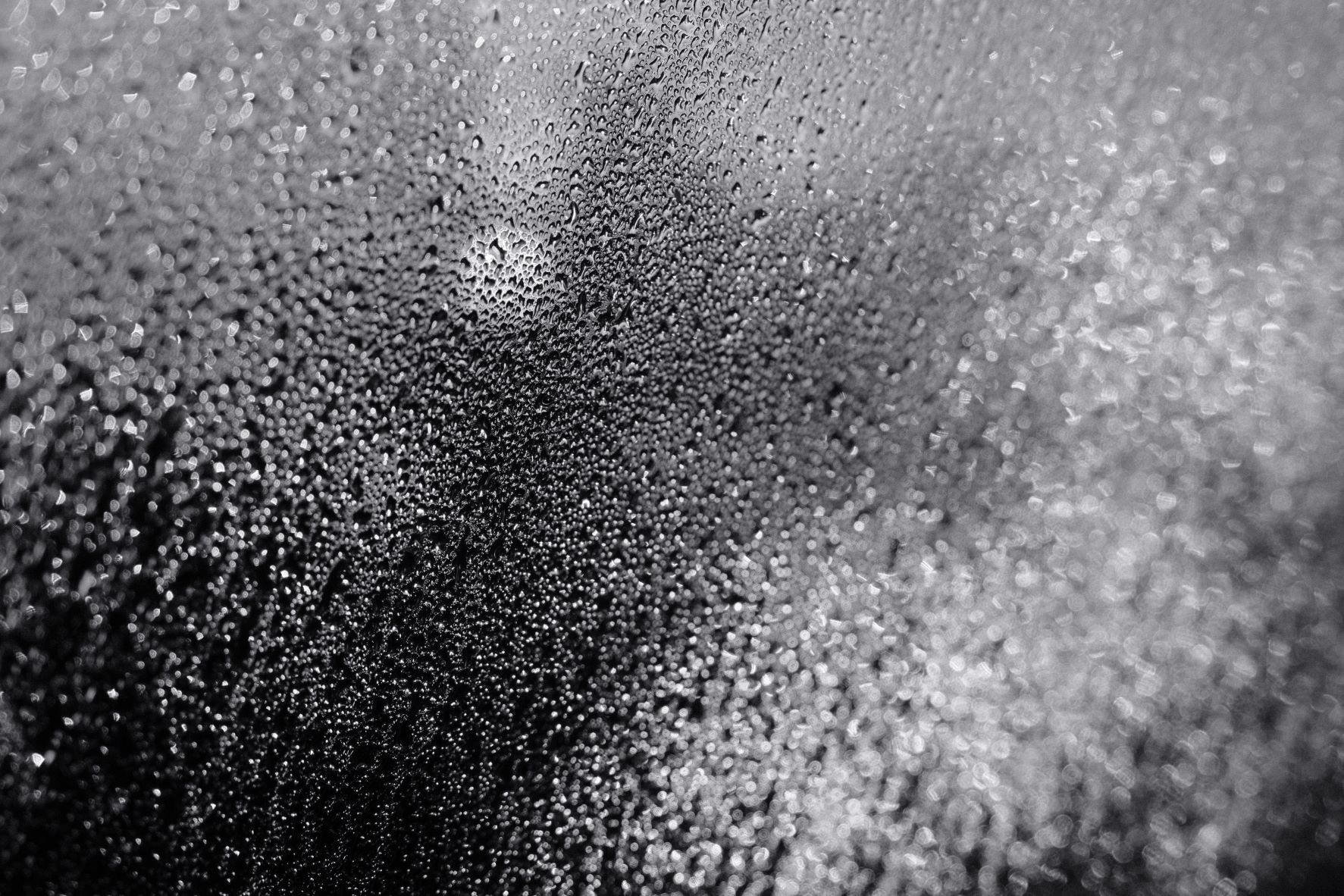 Silvertone 99 film recipe sample photo