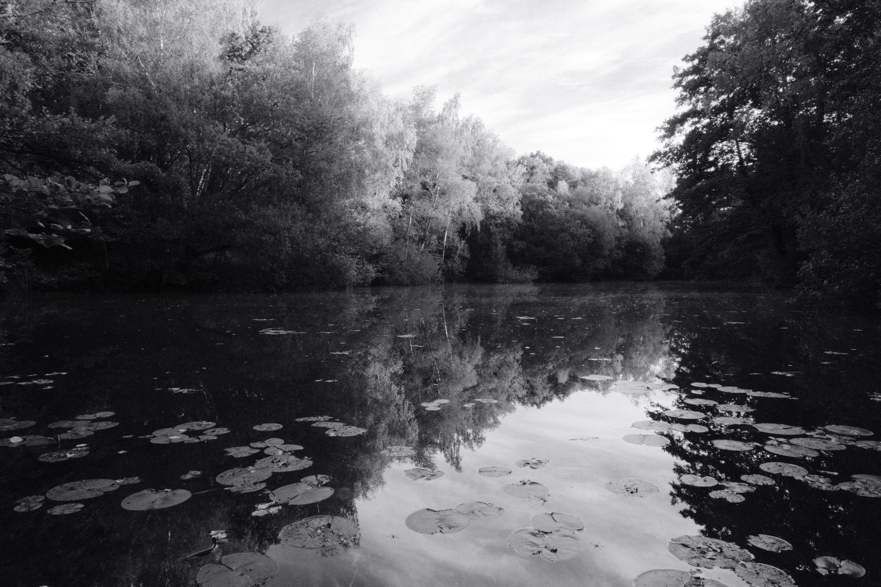 Silvertone 99 film recipe sample photo