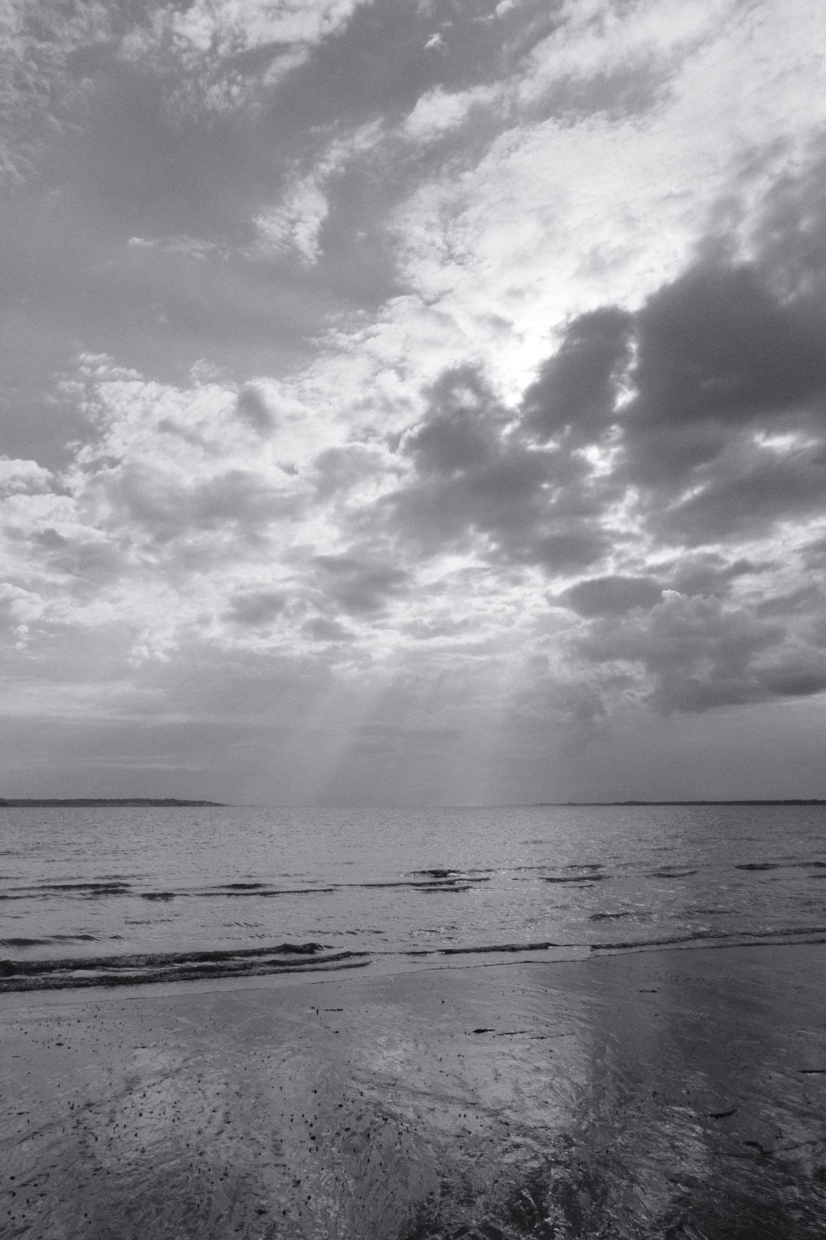Silvertone 99 film recipe sample photo