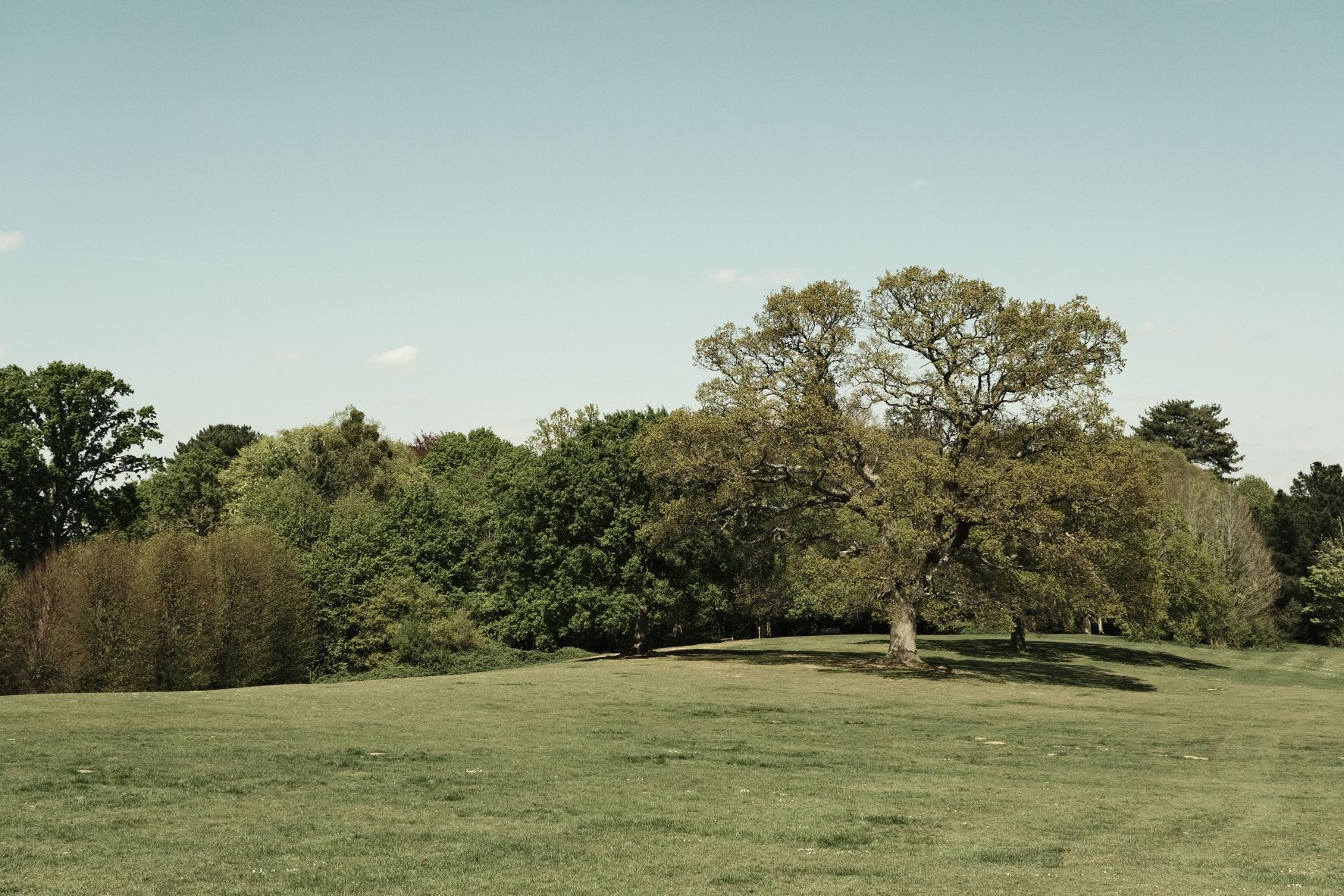Pale Blue Dot film recipe sample photo