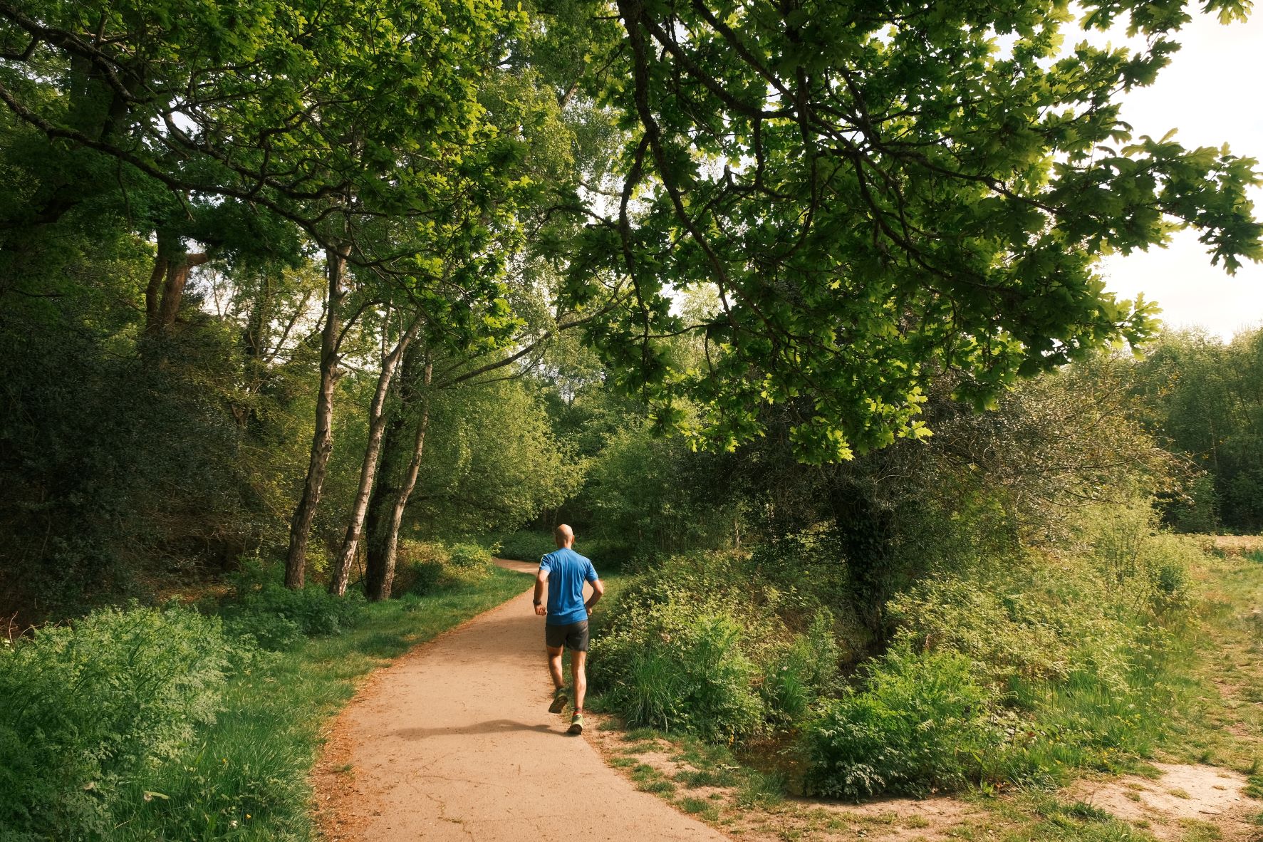 Parklife film recipe sample photo