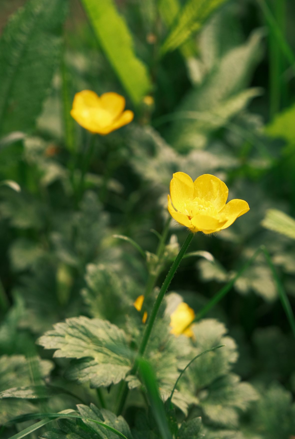 Parklife film recipe sample photo