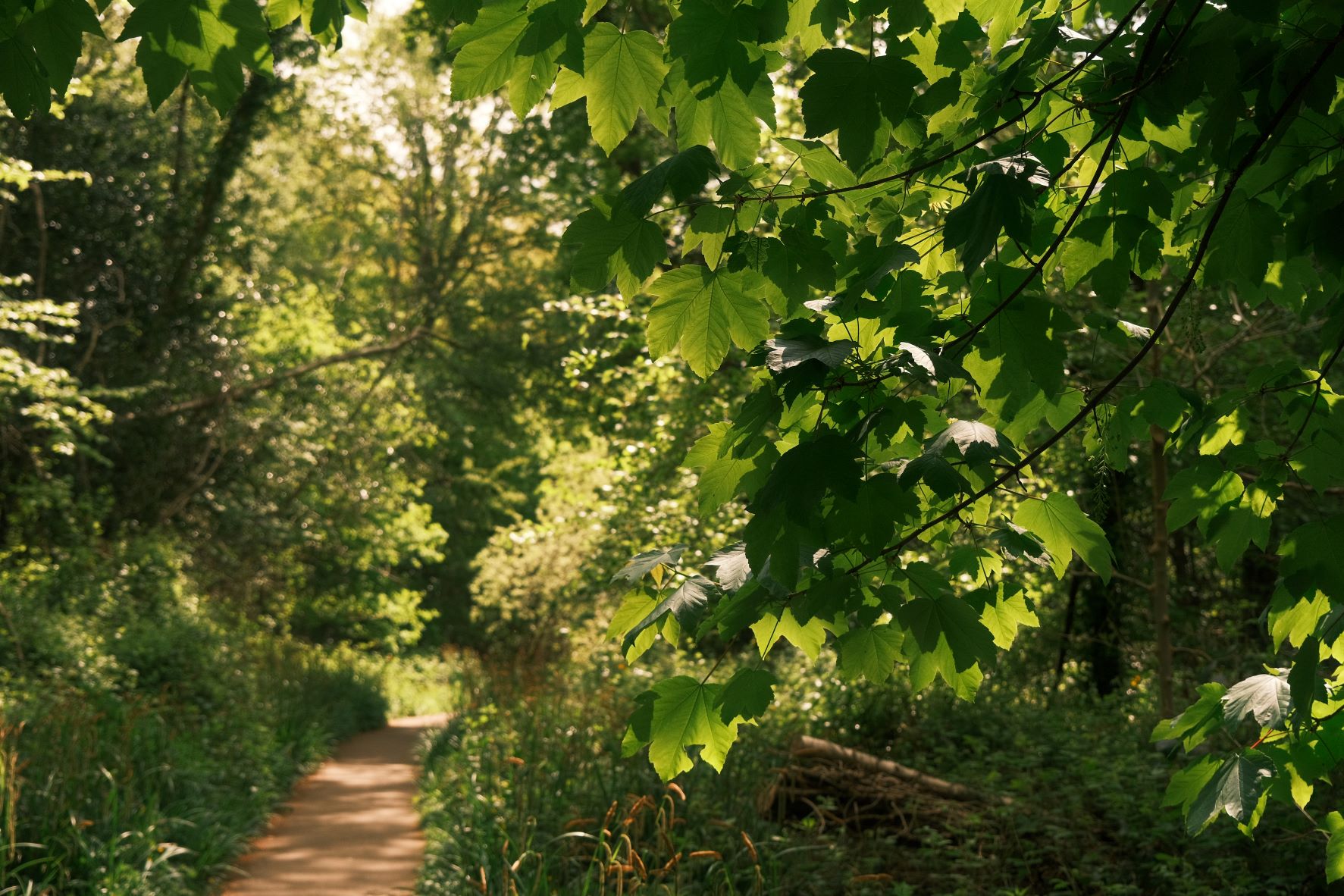 Parklife film recipe sample photo