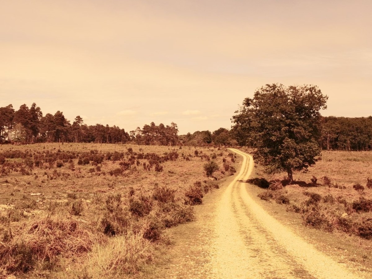 Life on Mars, Photos from the Red&nbsp;Planet
