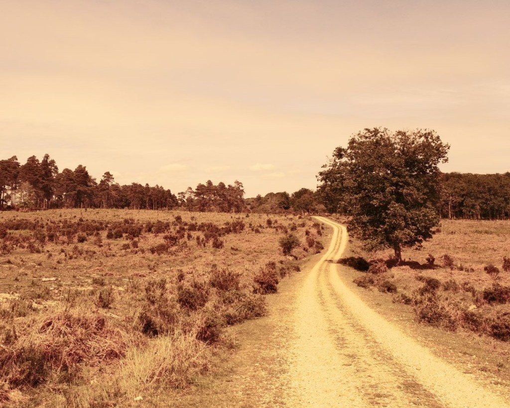 Life on Mars, Photos from the Red&nbsp;Planet