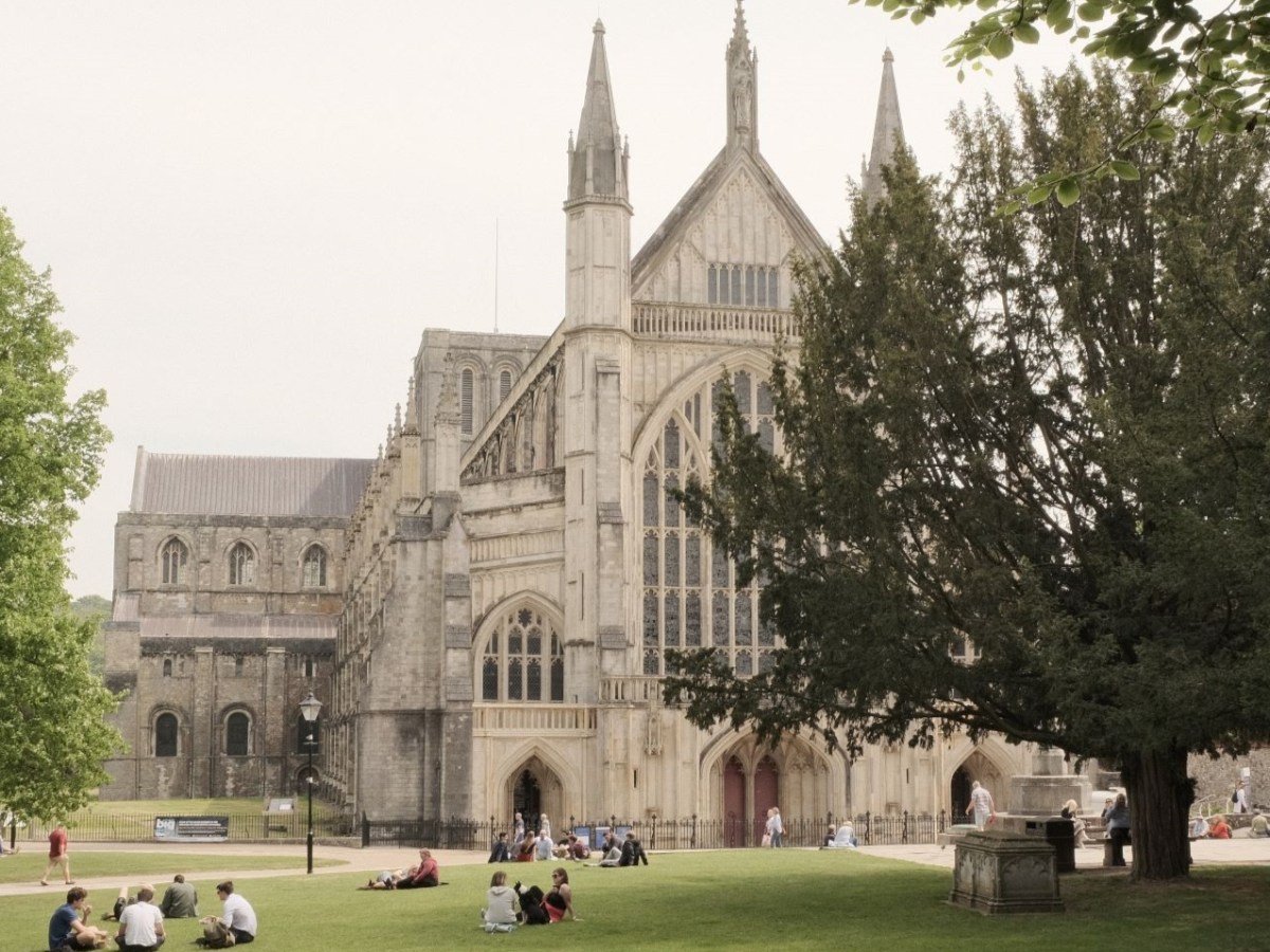 Outdoor Cinema, Dreamy Low&nbsp;Contrast