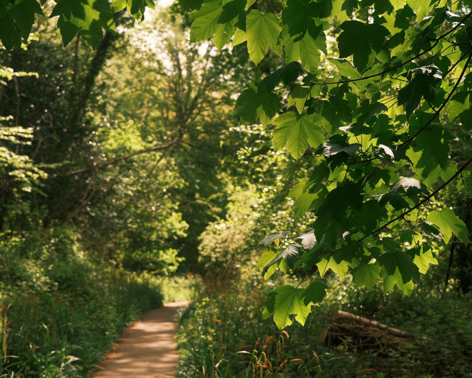 Parklife, Cosy with just a little Blur