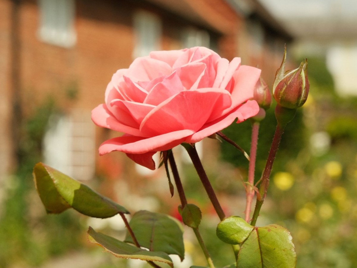 QE2, On the Passing of Her&nbsp;Majesty