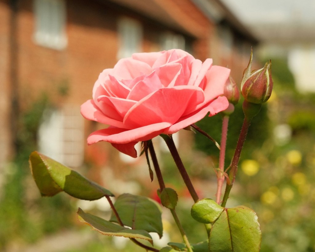 QE2, On the Passing of Her&nbsp;Majesty