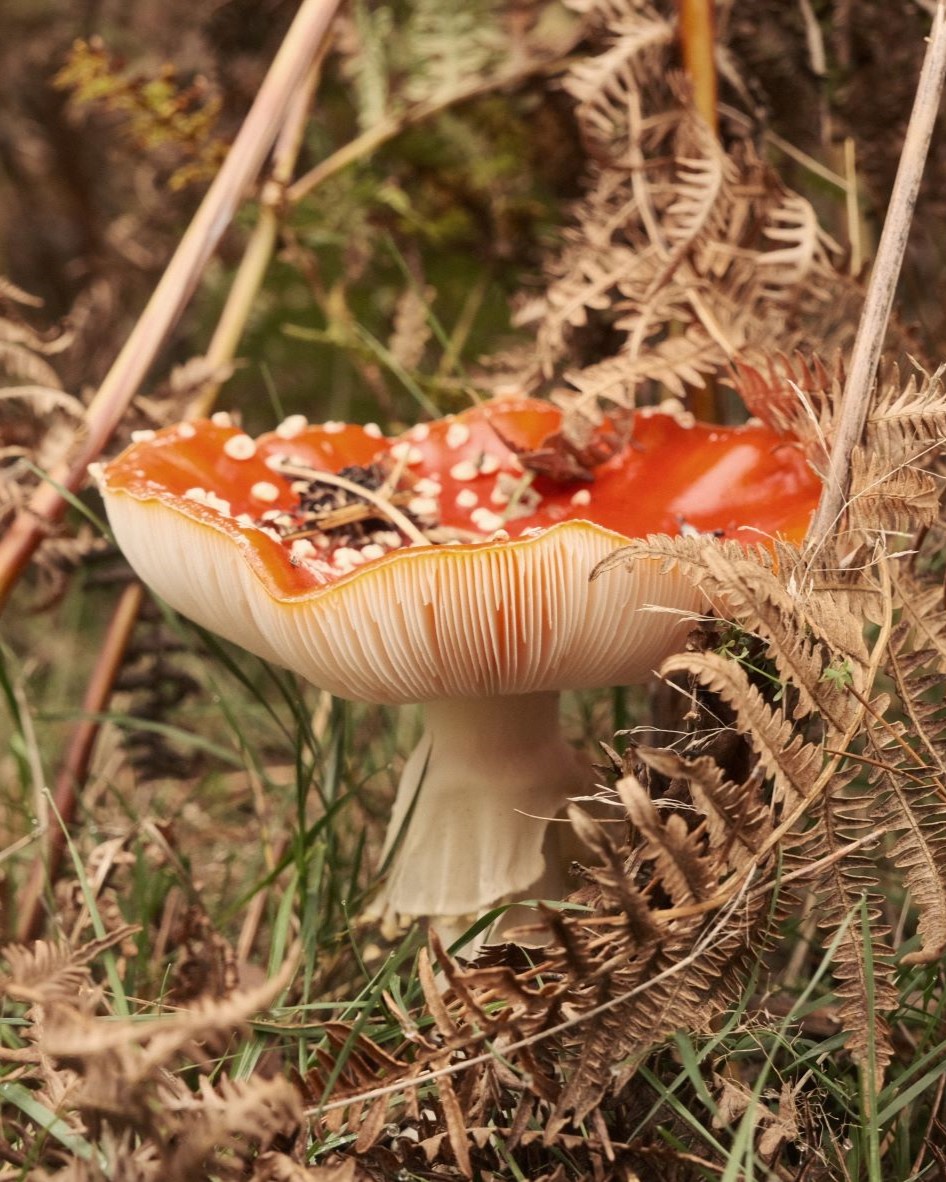 Eterna 8K film recipe sample photo
