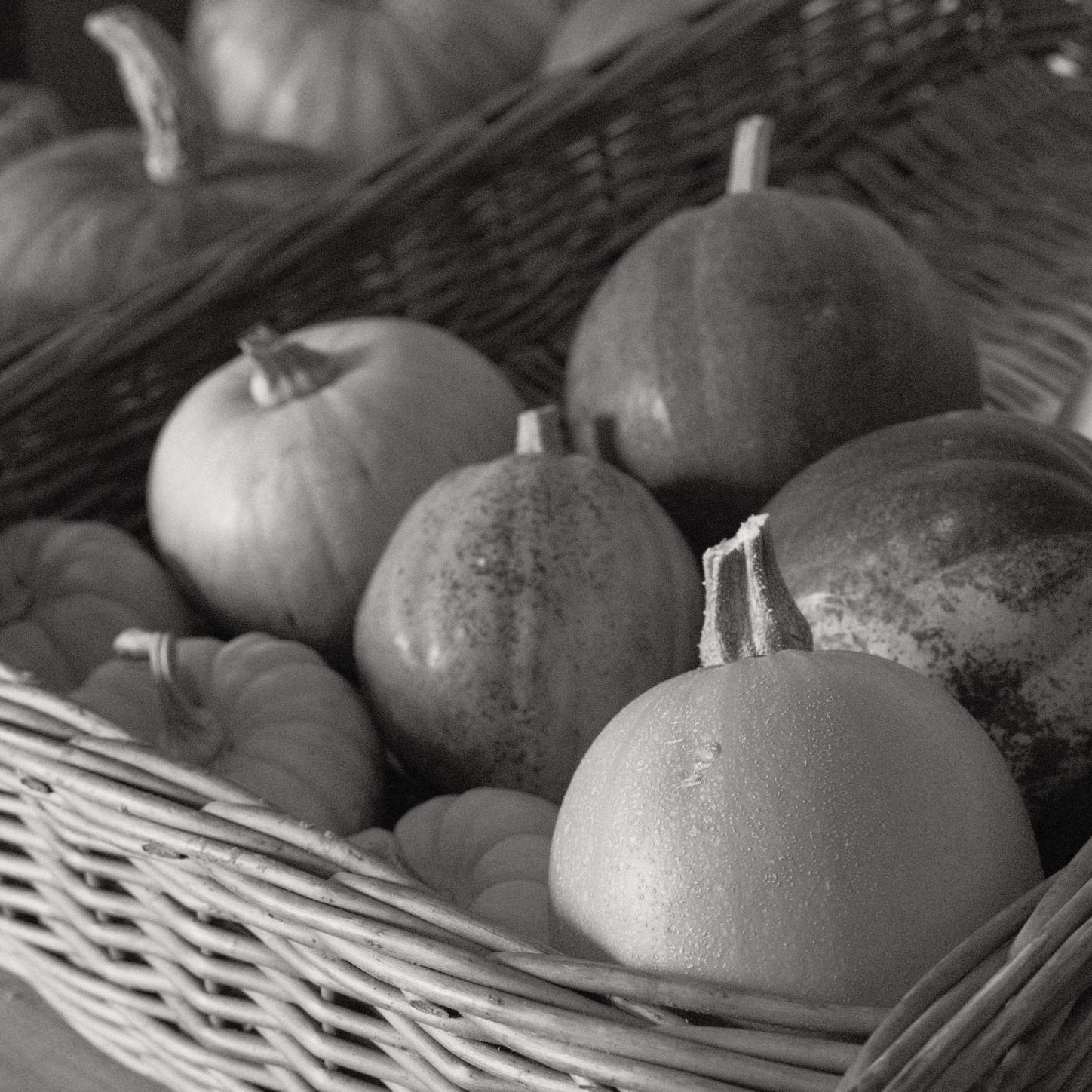 Soft Acros film recipe sample photo