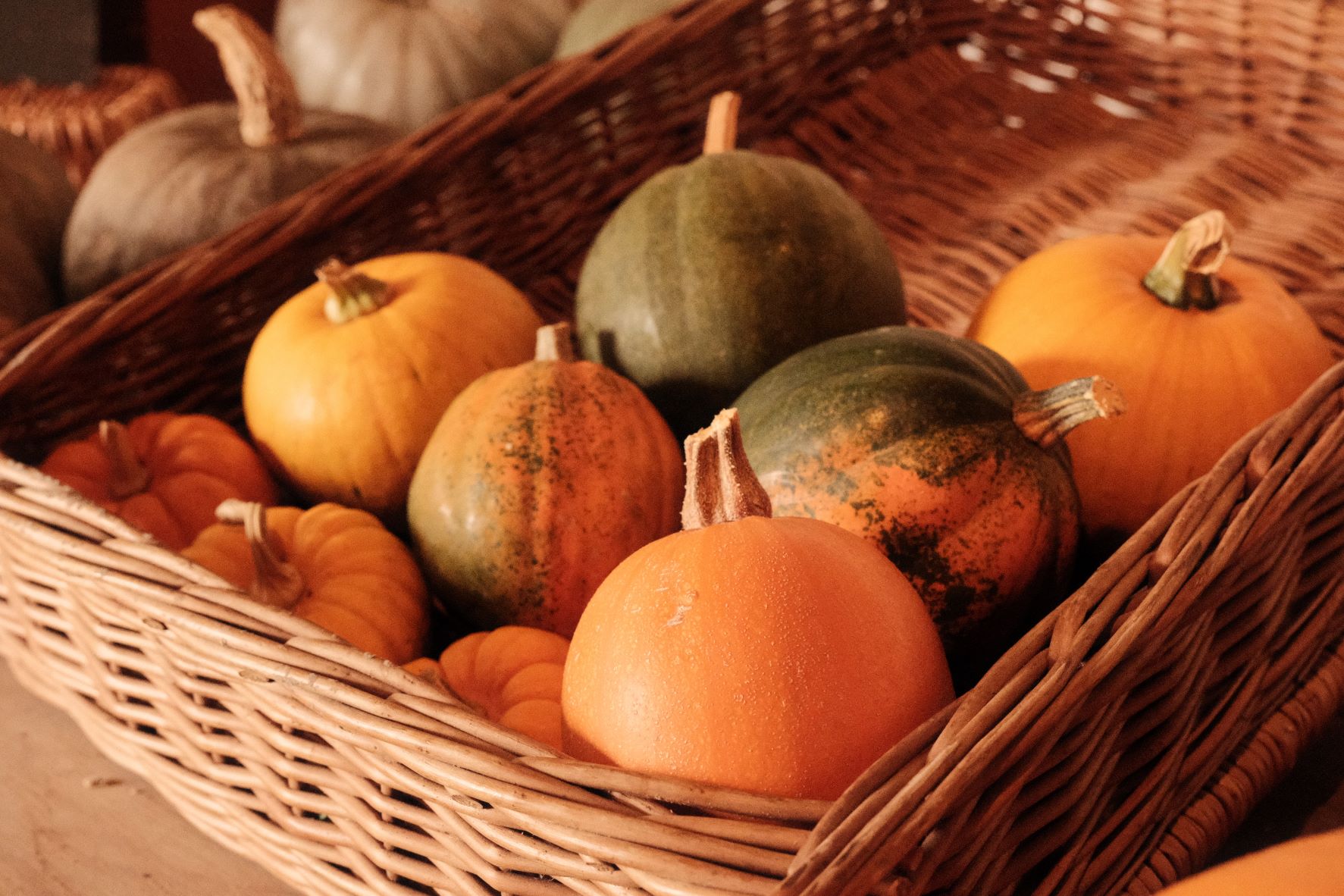Pumpkin Patch film recipe sample photo