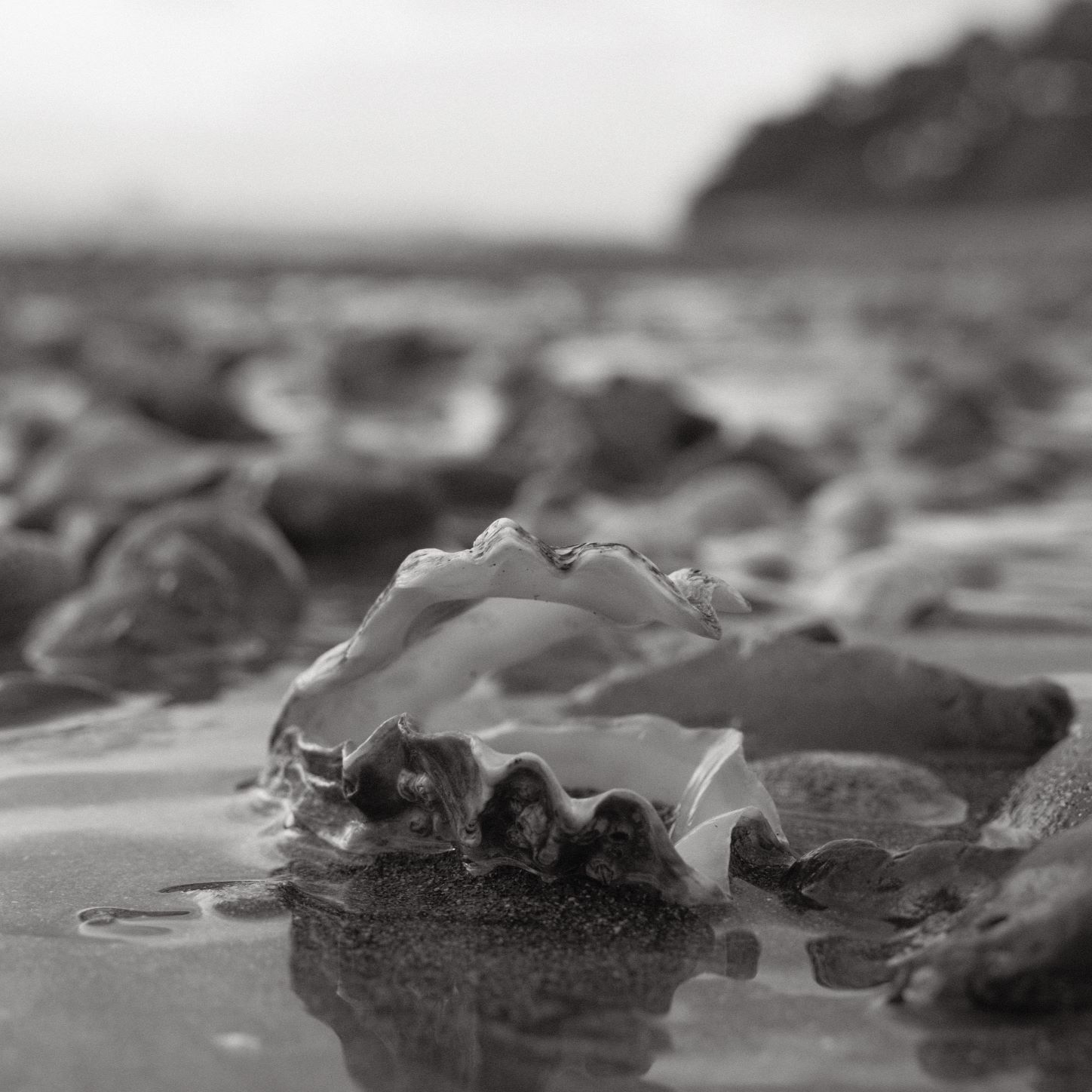 Soft Acros film recipe sample photo