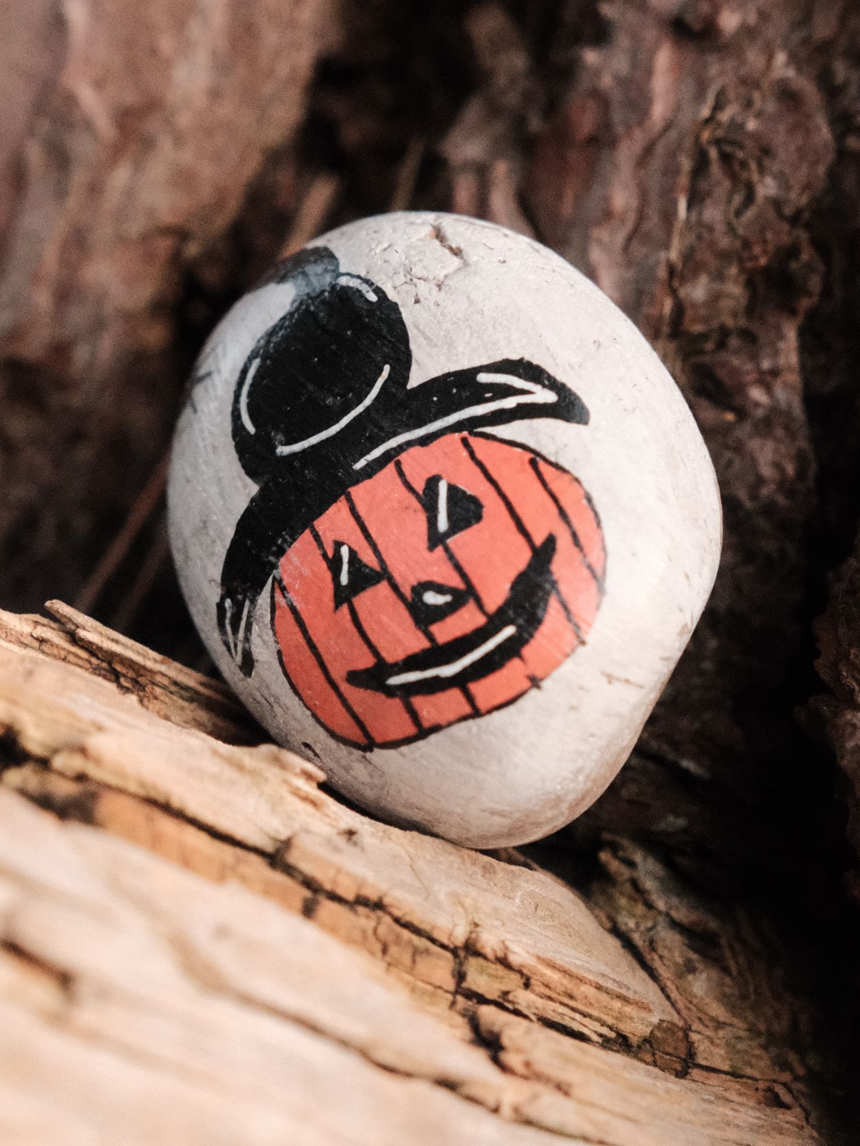 Pumpkin Patch film recipe sample photo