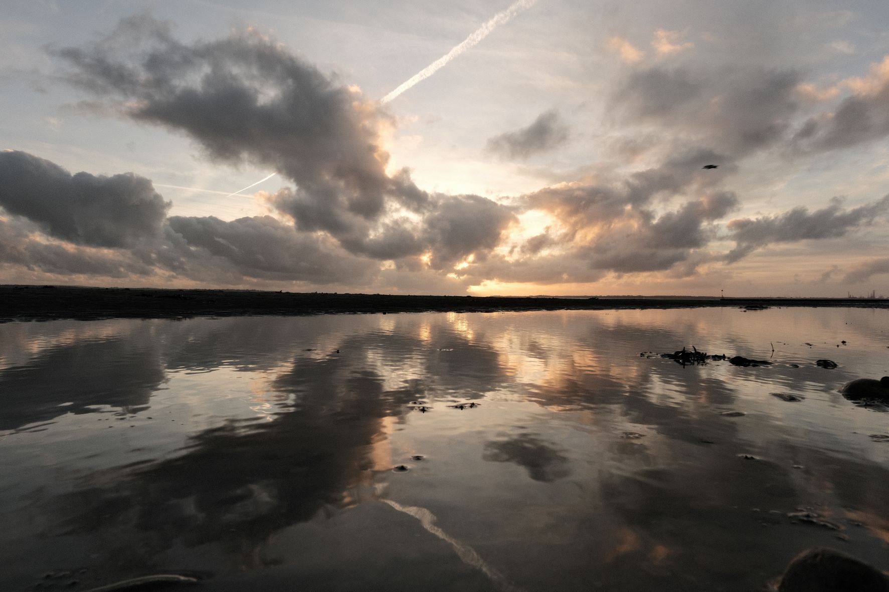 Nostalgic Standard film recipe sample photo