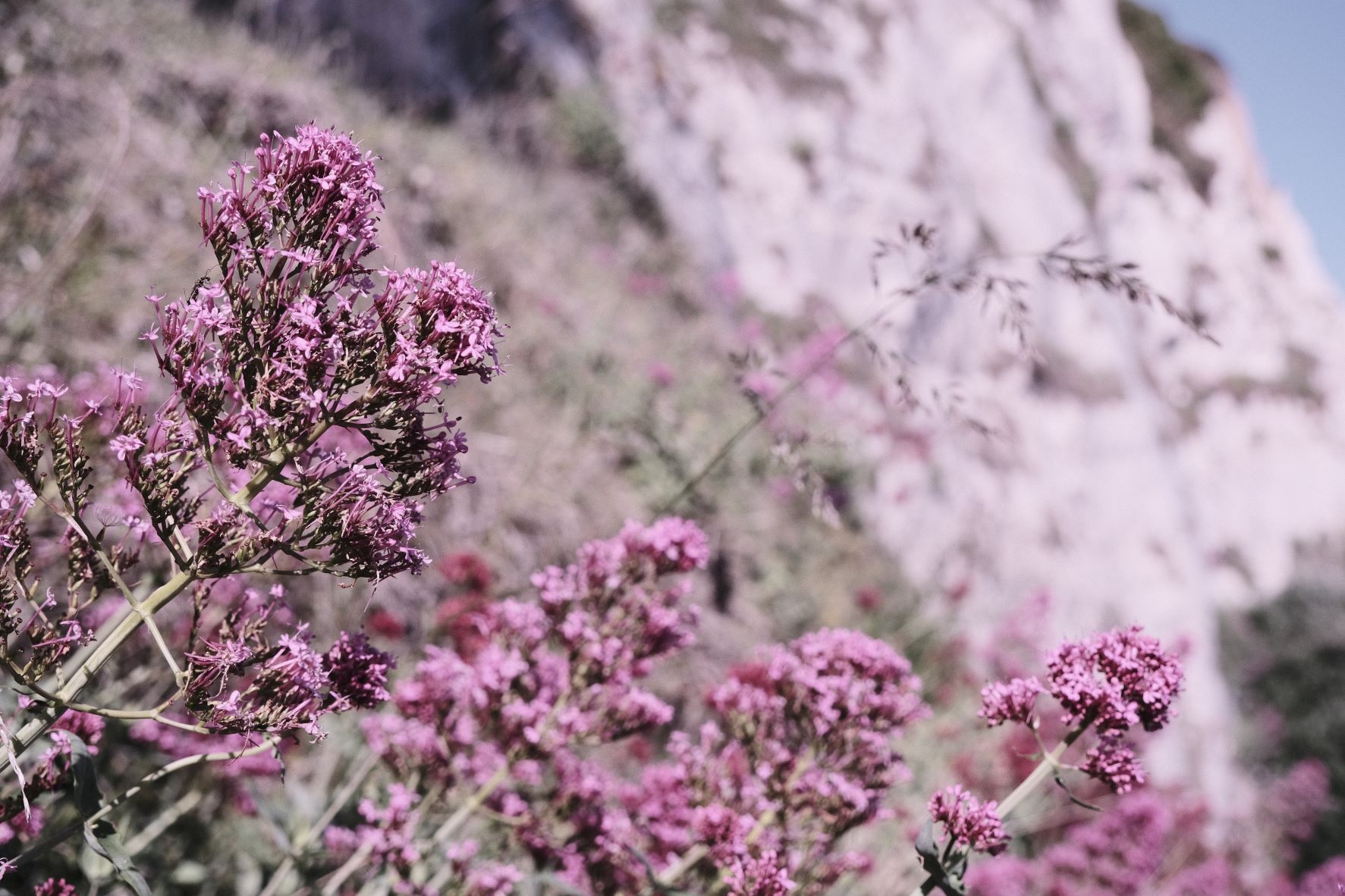 Ultraviolet film recipe sample photo
