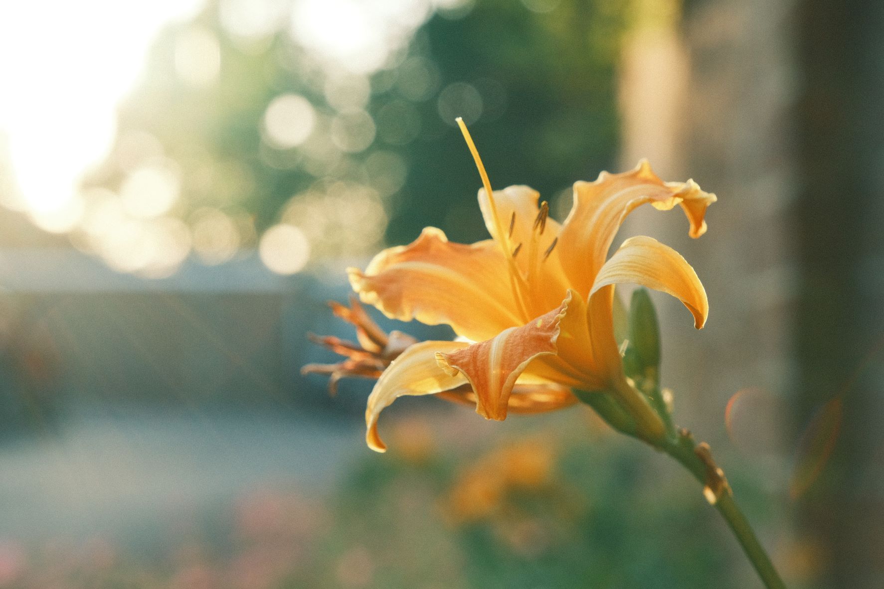 Tropicana film recipe sample photo