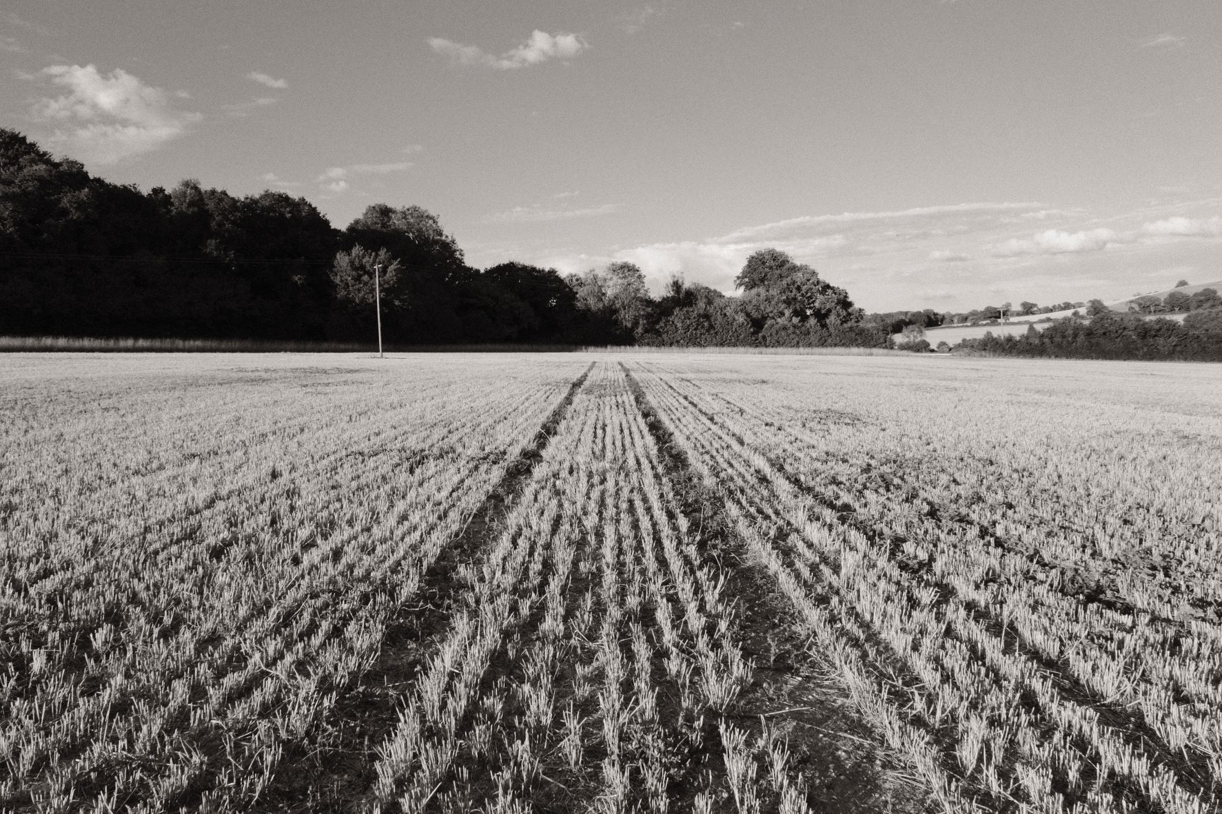 Monographic film recipe sample photo