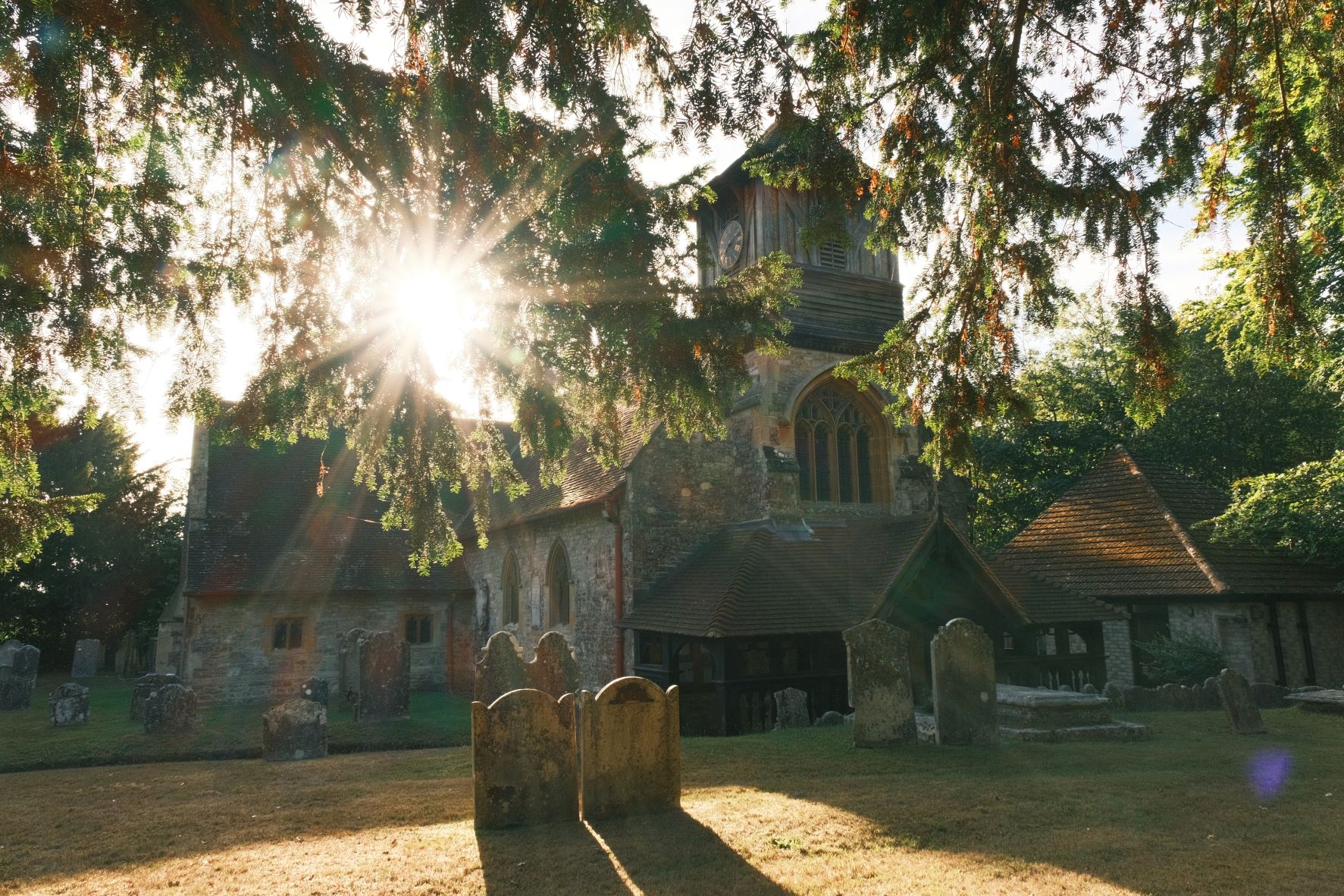 Fujicolor Daily film recipe sample photo