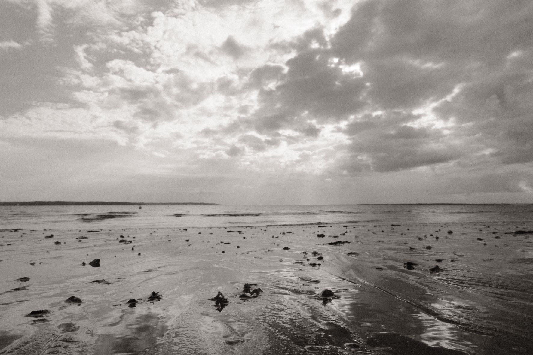 Monographic film recipe sample photo
