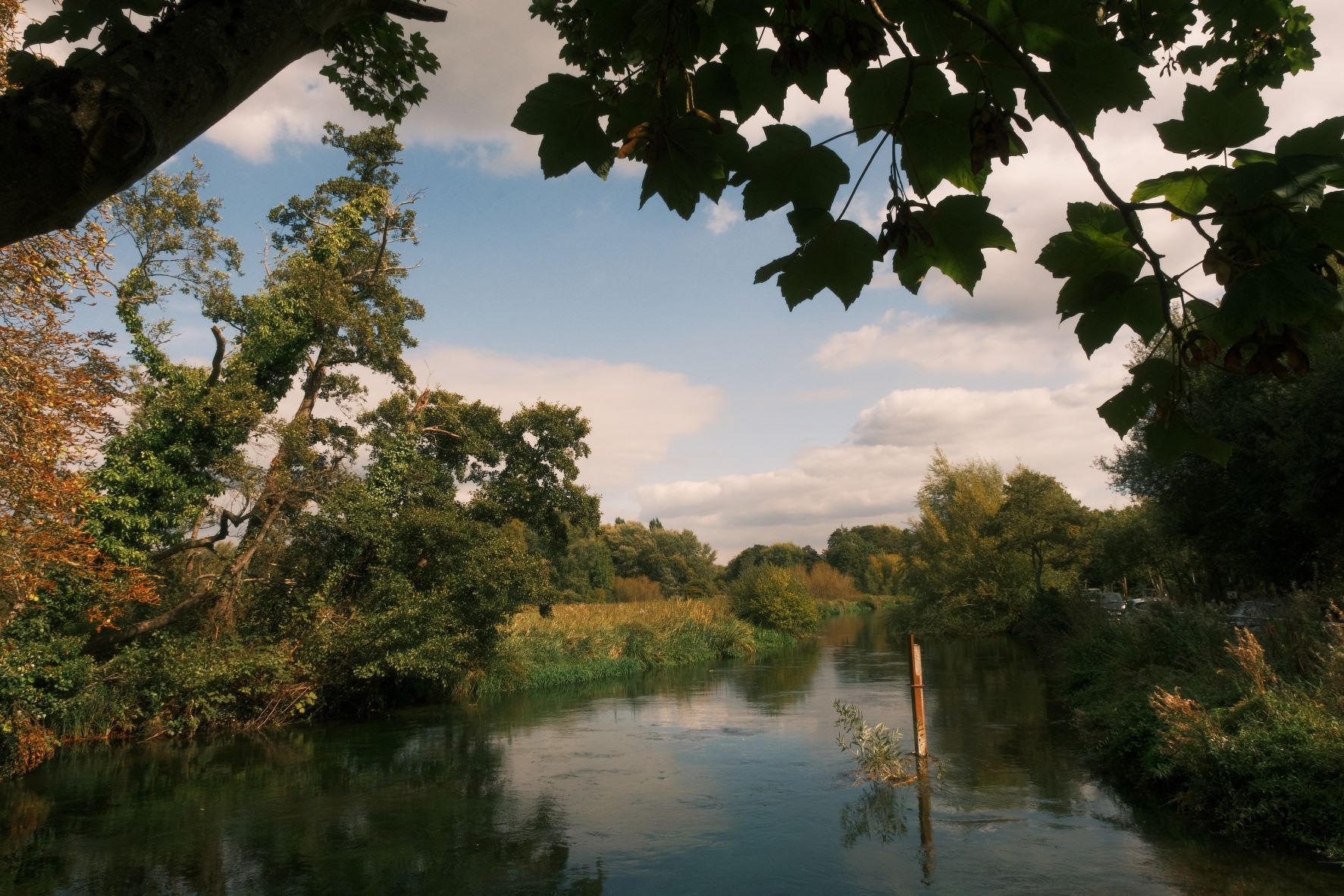 Parklife film recipe sample photo