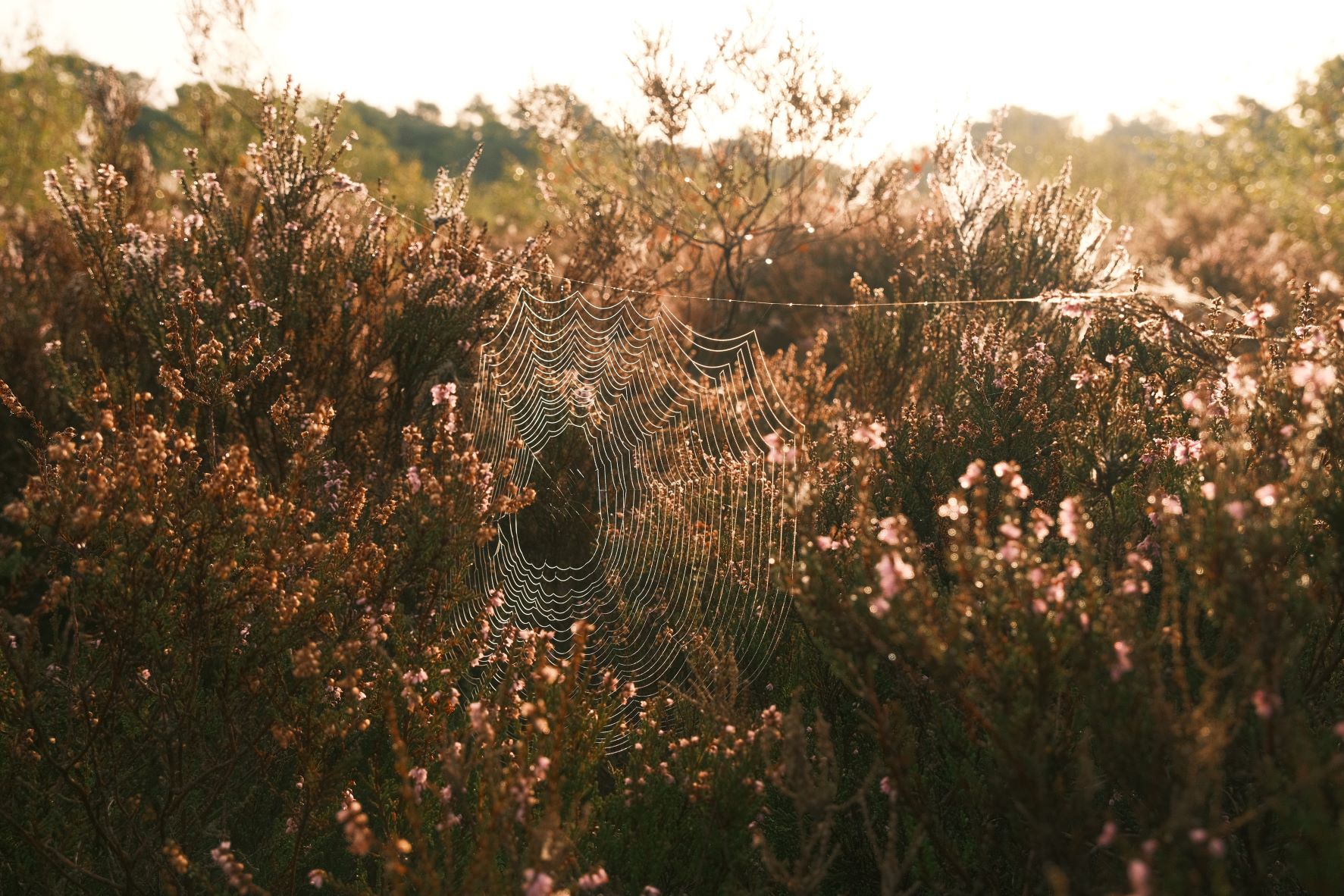 Parklife film recipe sample photo