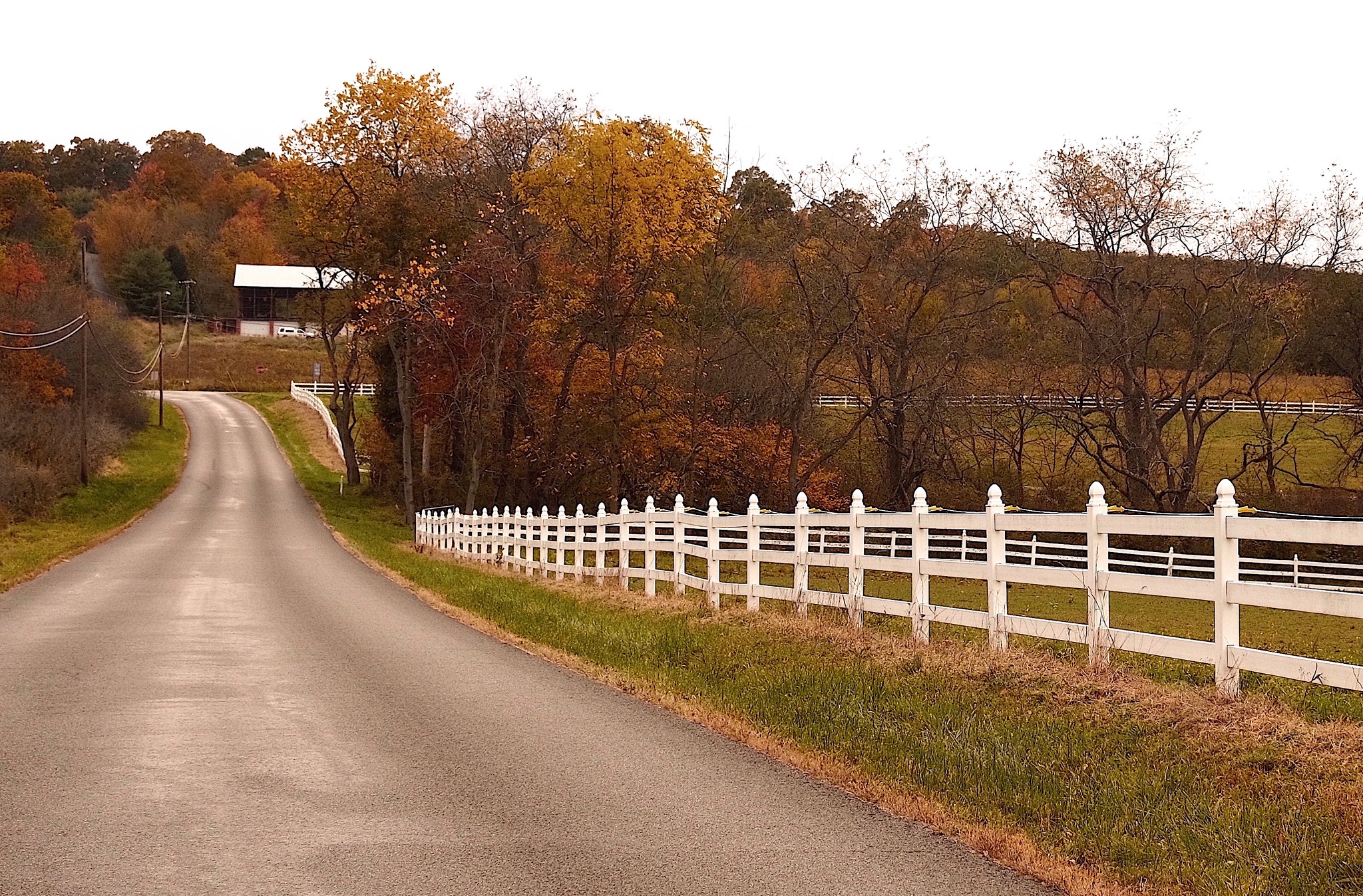 Astia Mellow film recipe photo by Gordon Ovenshine
