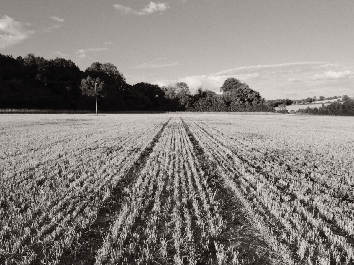 Monographic, Acros Mono for Everyday&nbsp;Use