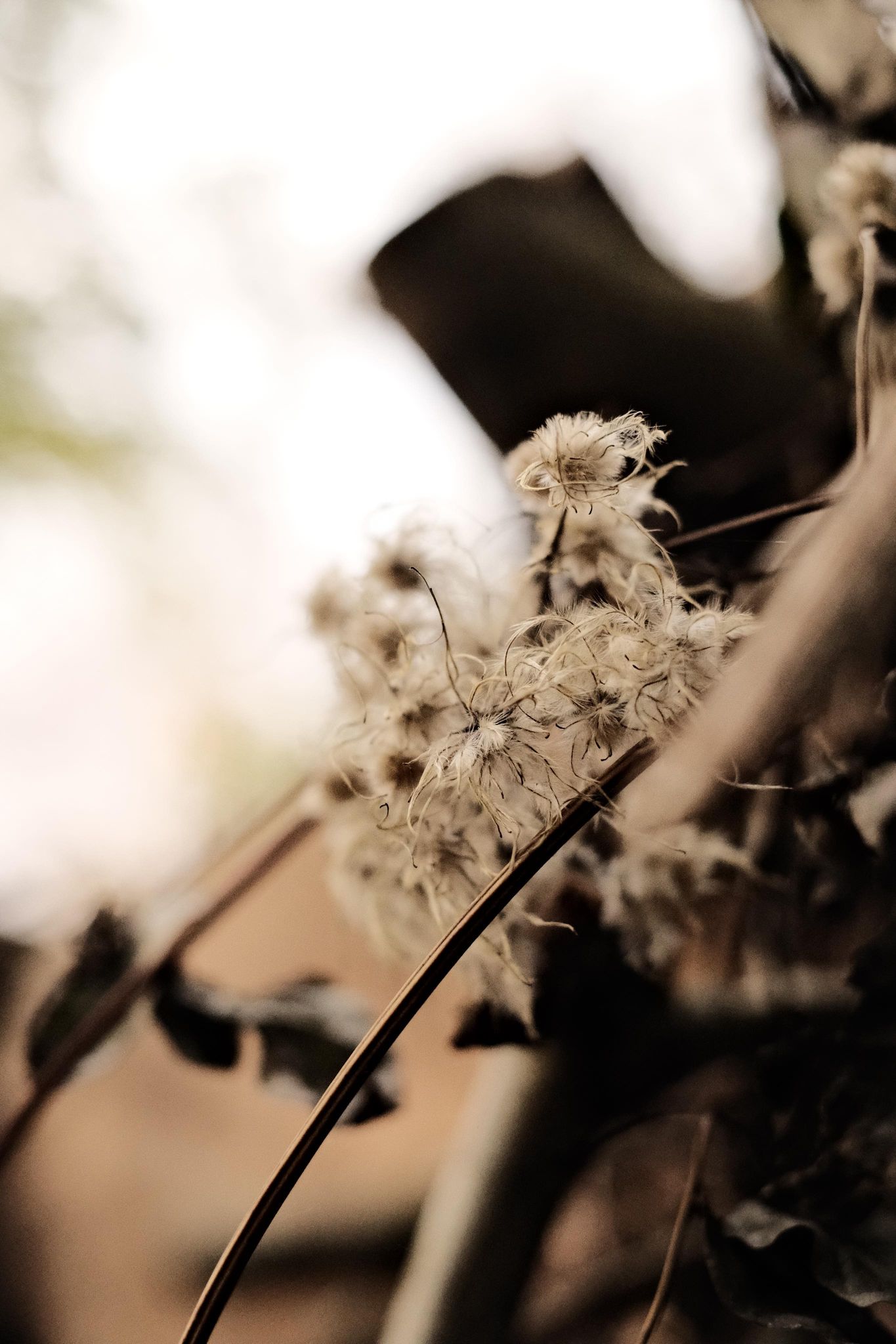Autumn Vibe film recipe sample photo