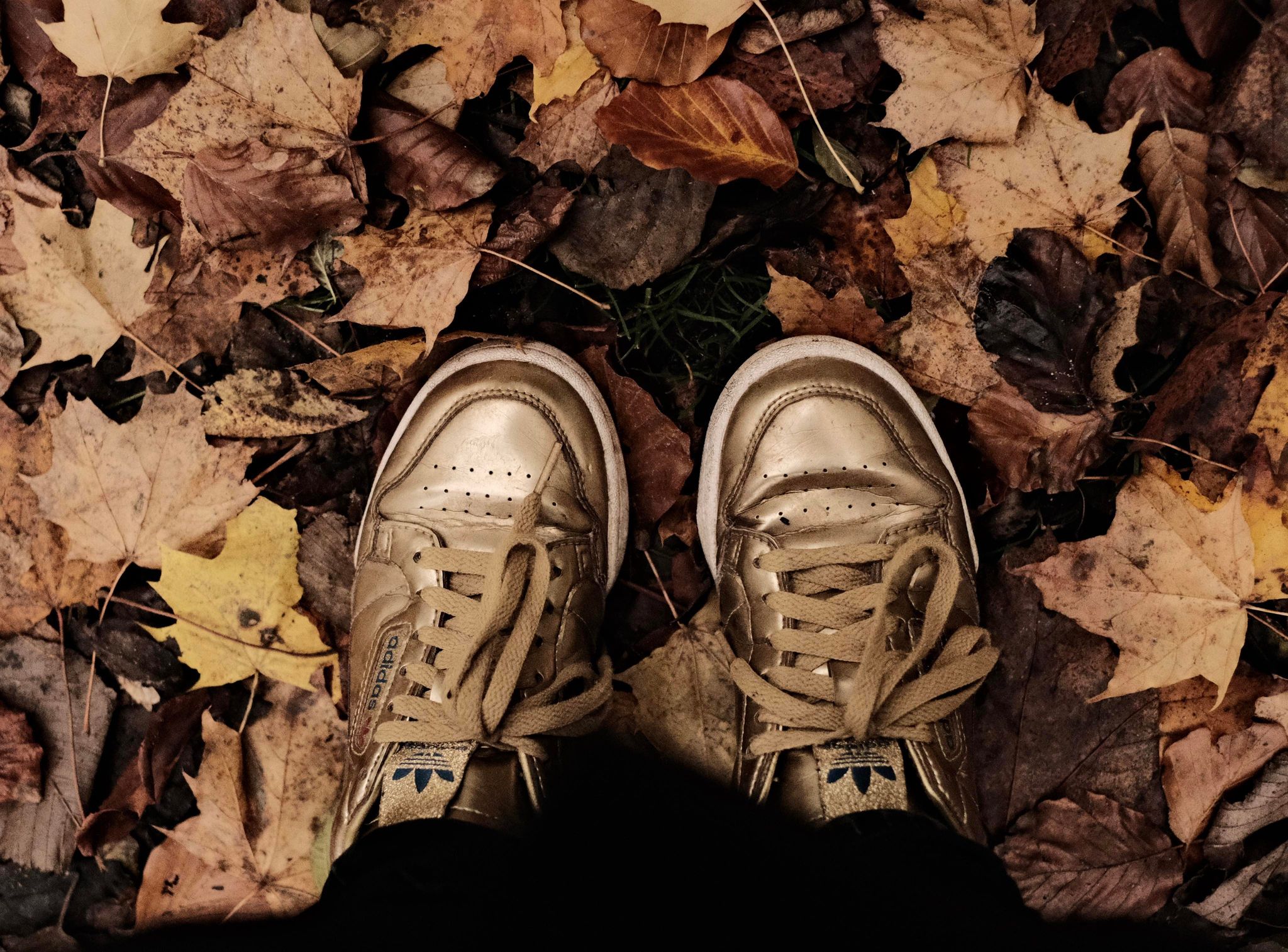 Autumn Vibe film recipe sample photo