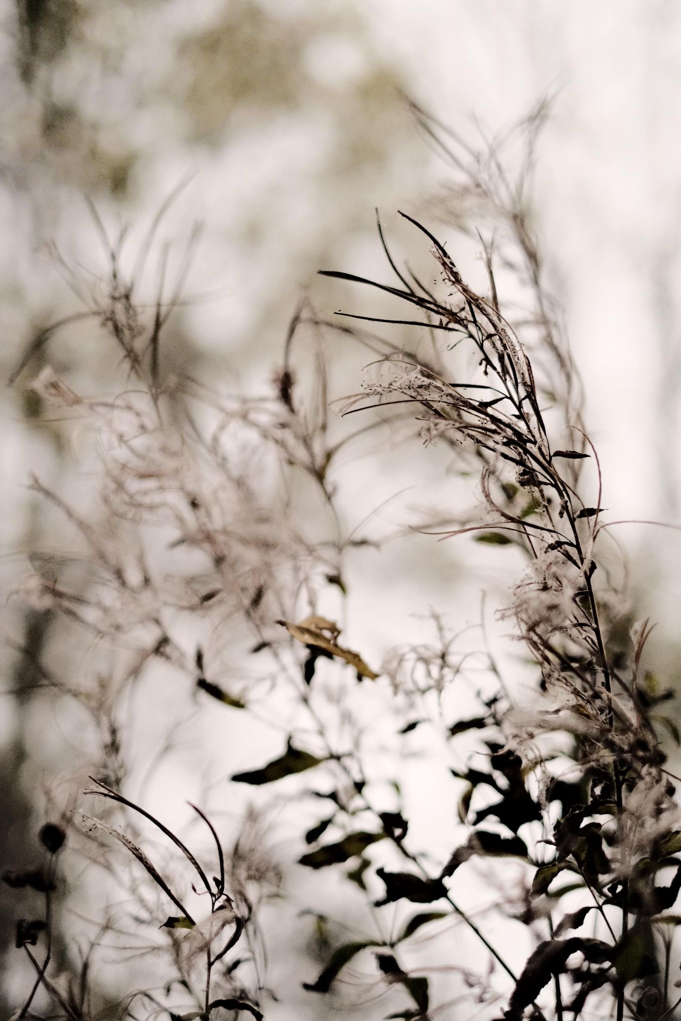Autumn Vibe film recipe sample photo