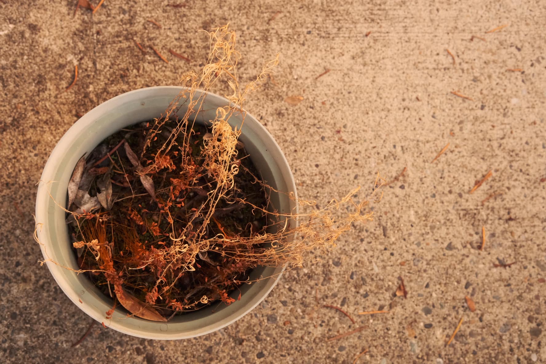 Copper film recipe photo by Christopher Carter