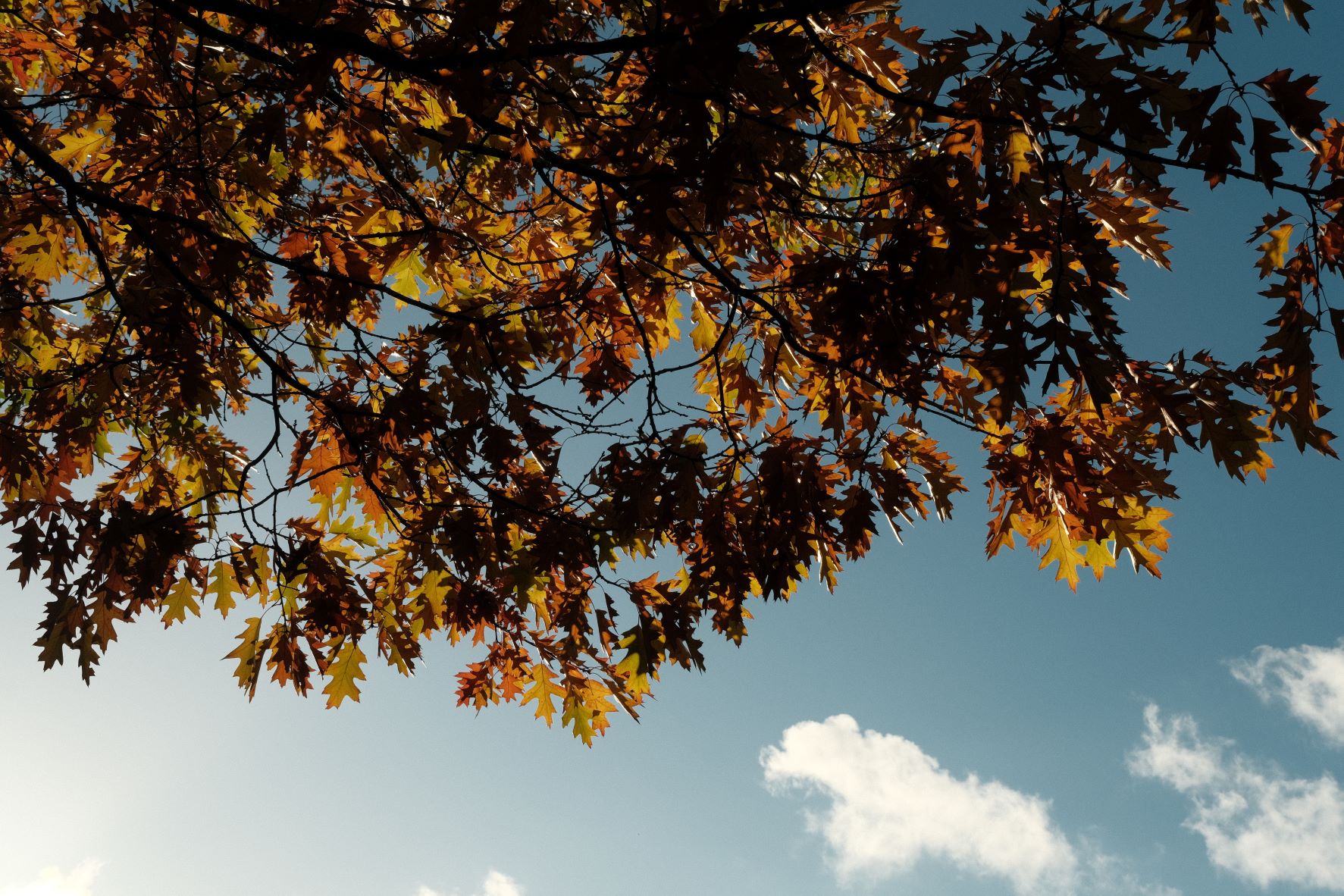 Vintage Kodachrome film recipe sample photo