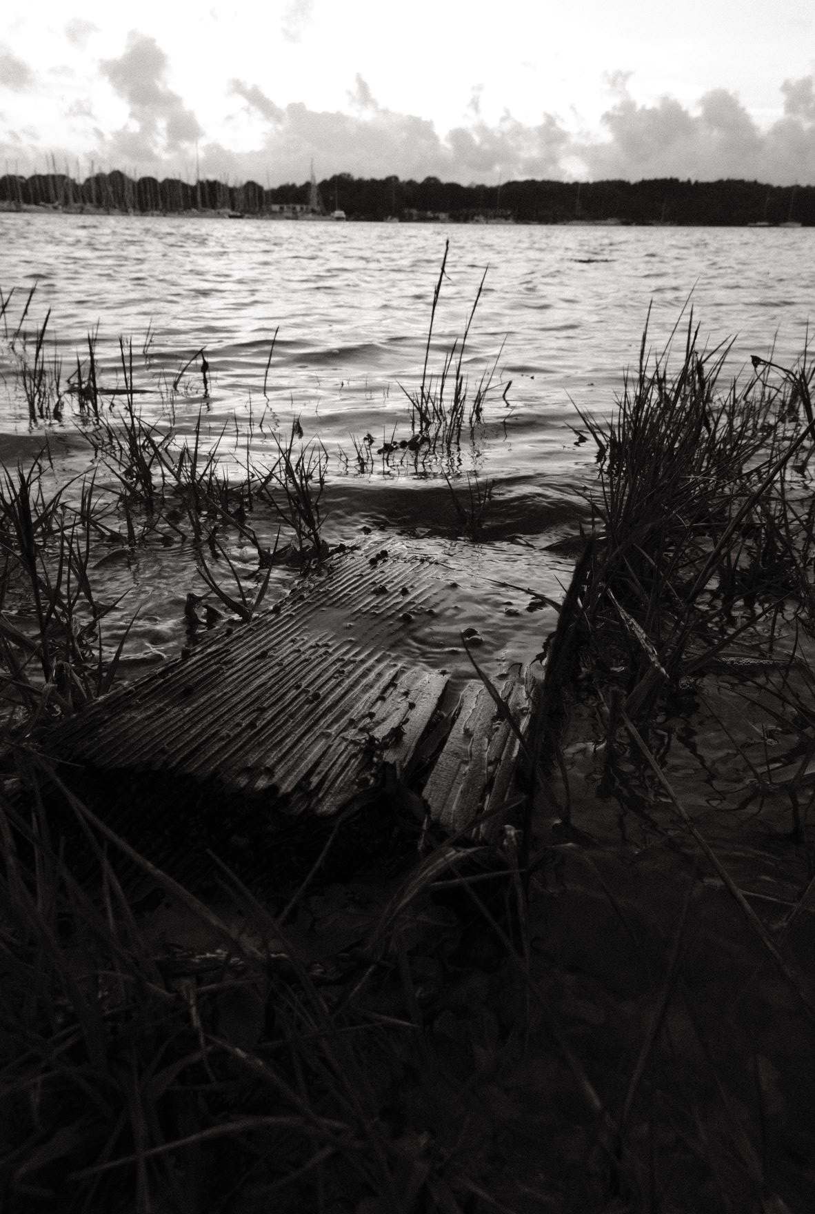 Black Friday film recipe sample photo