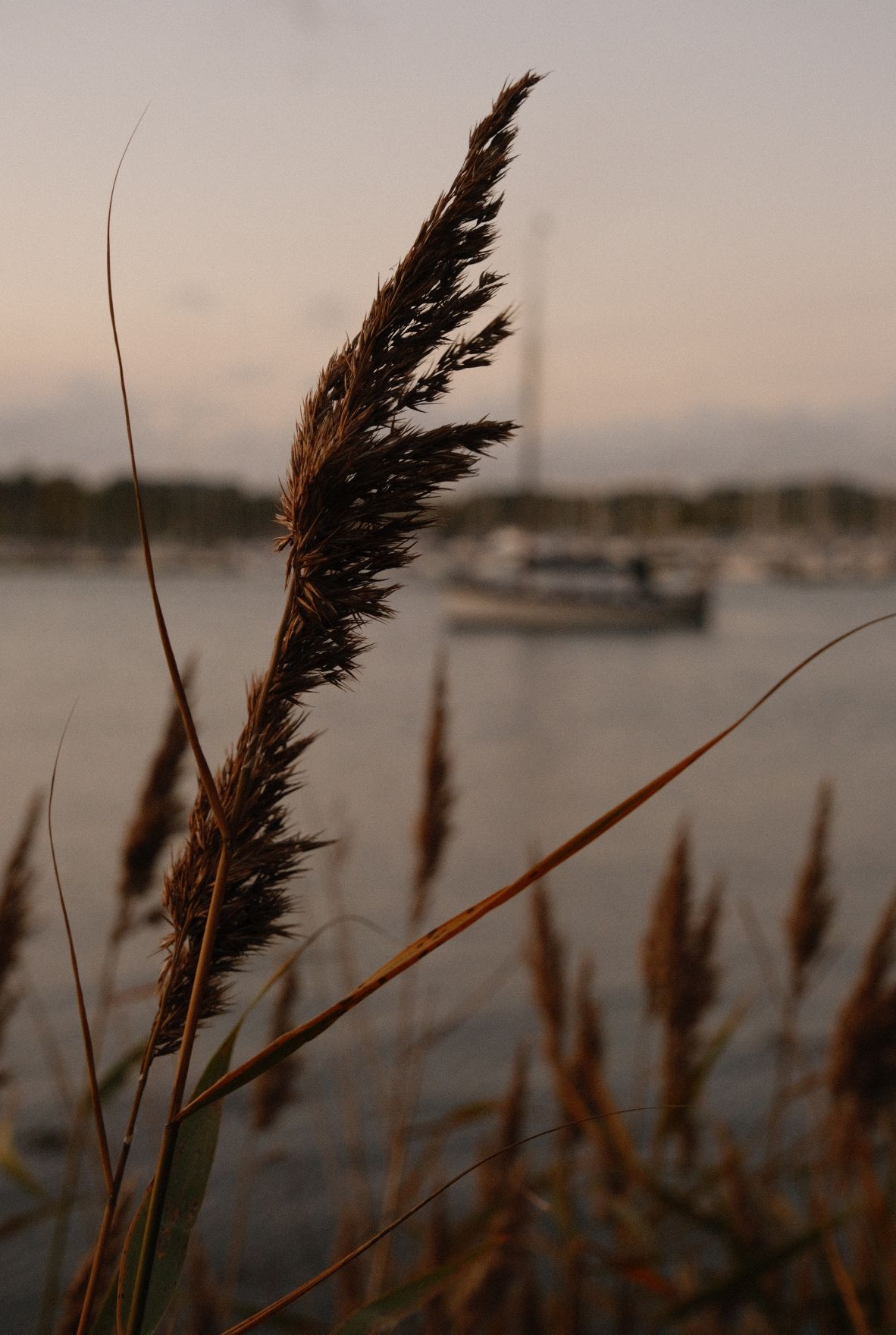 Vintage Astia film recipe sample photo
