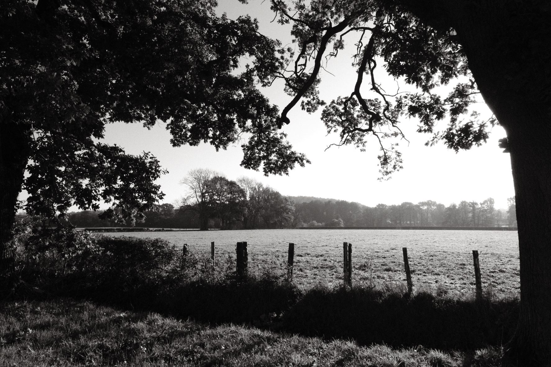 Black Friday film recipe sample photo