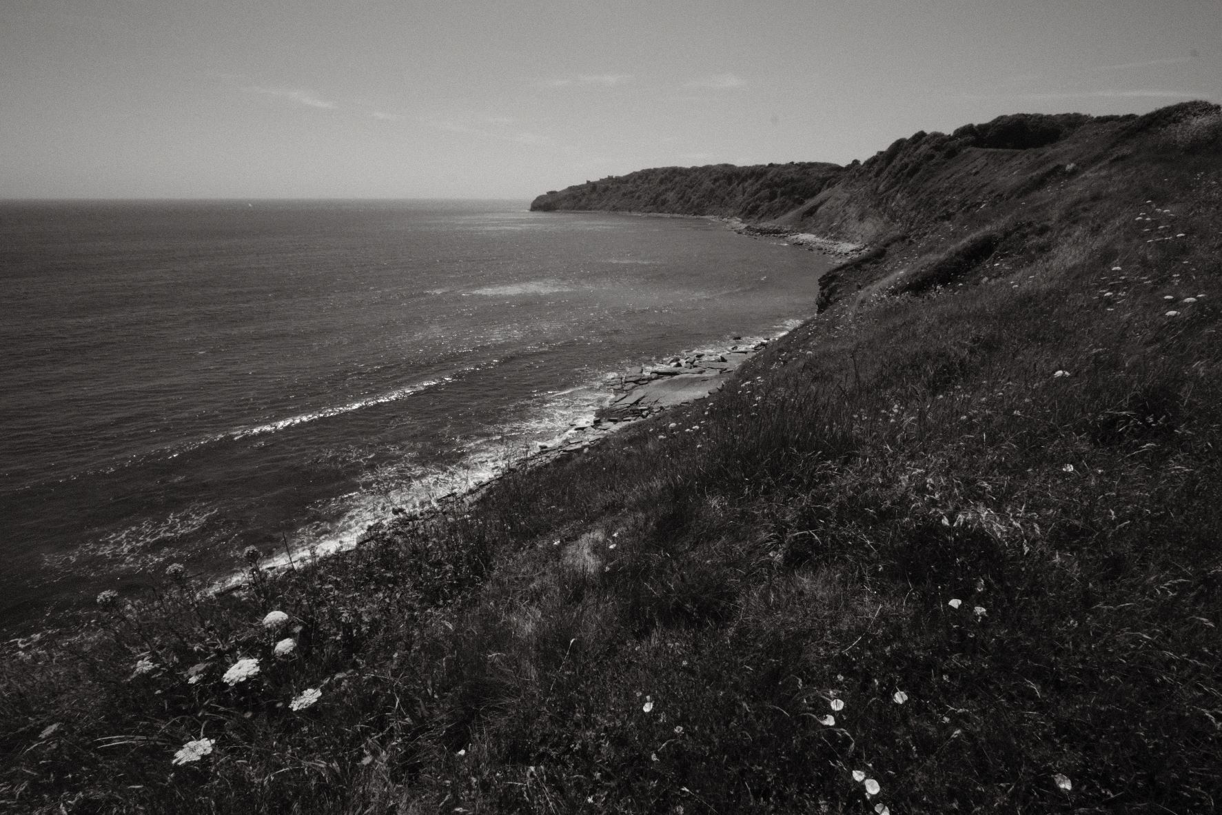 Black Friday film recipe sample photo