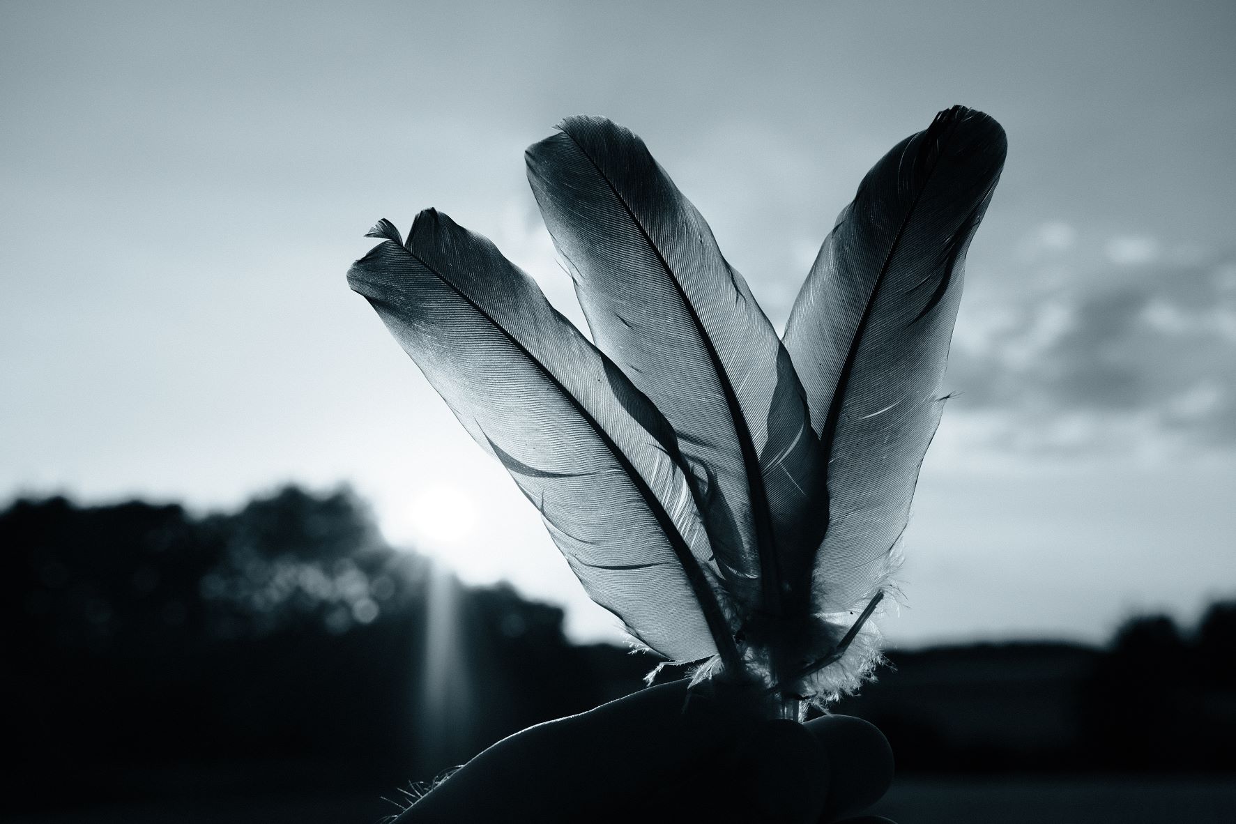 Mono Moonlight film recipe sample photo