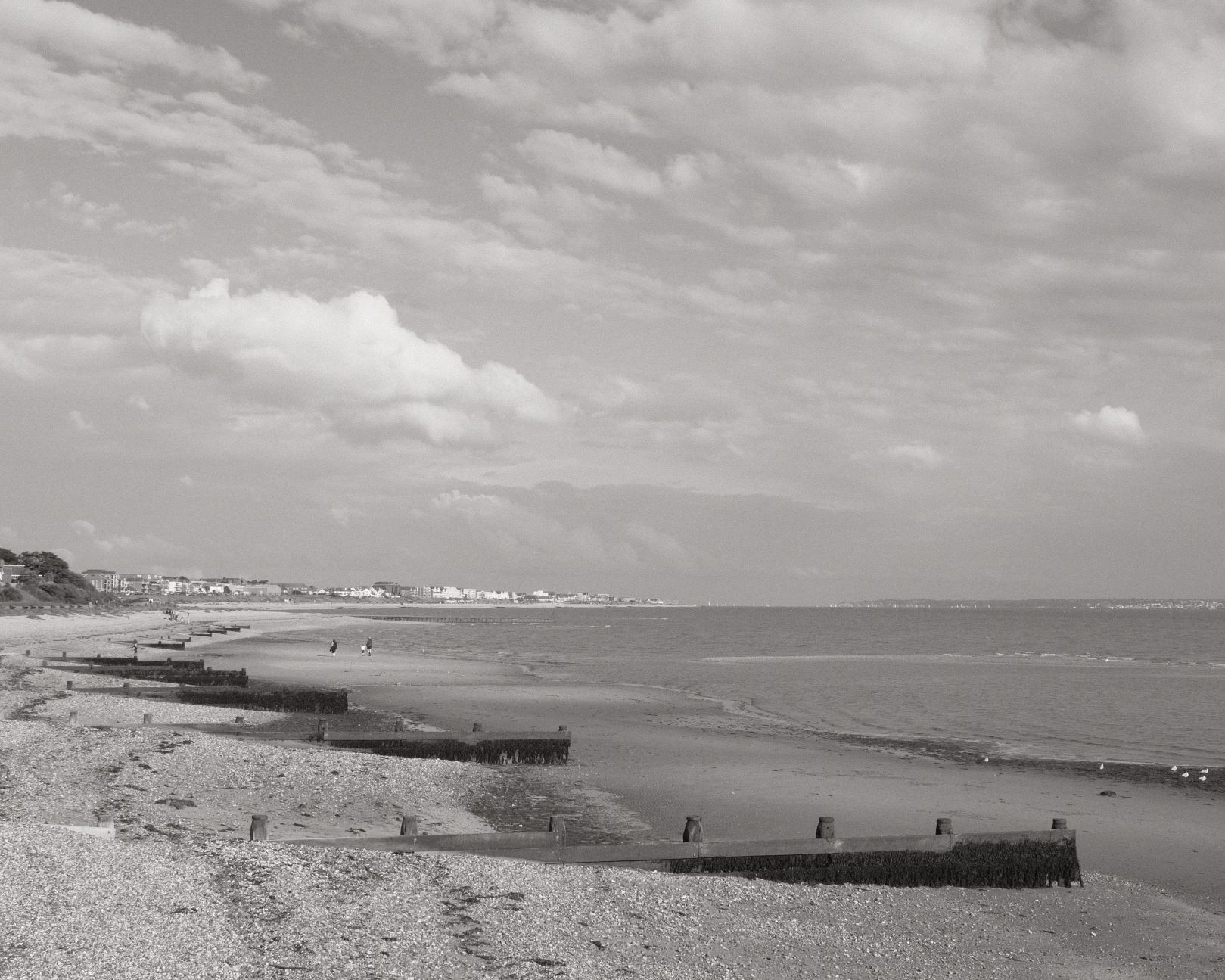 Kodachrome Mono, Versatile Black & White