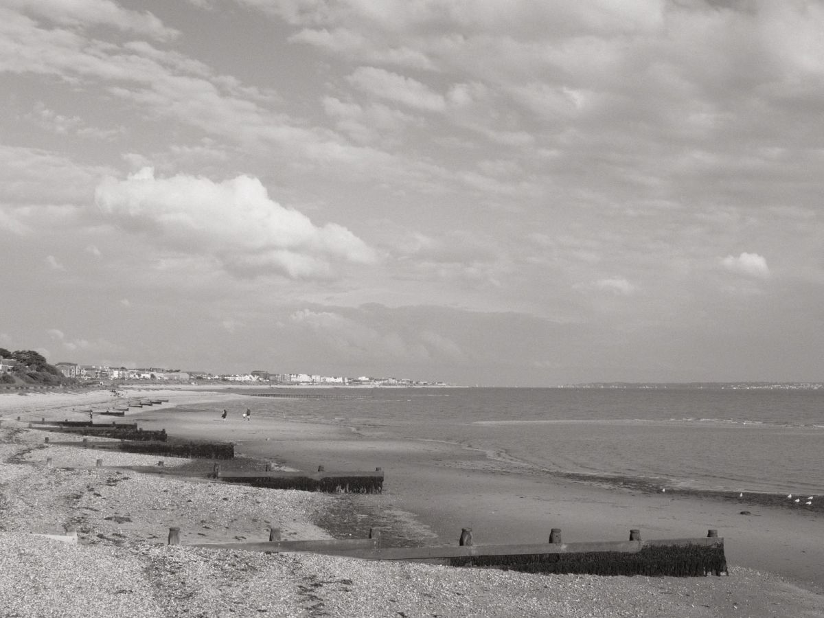 Kodachrome Mono, Versatile Black &&nbsp;White