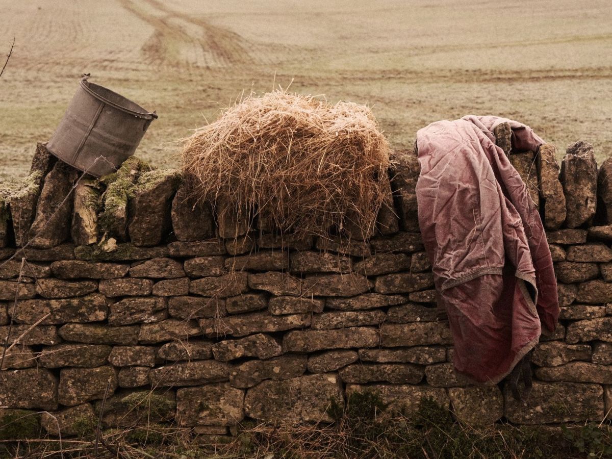 Old West, Inspired by Western&nbsp;Movies