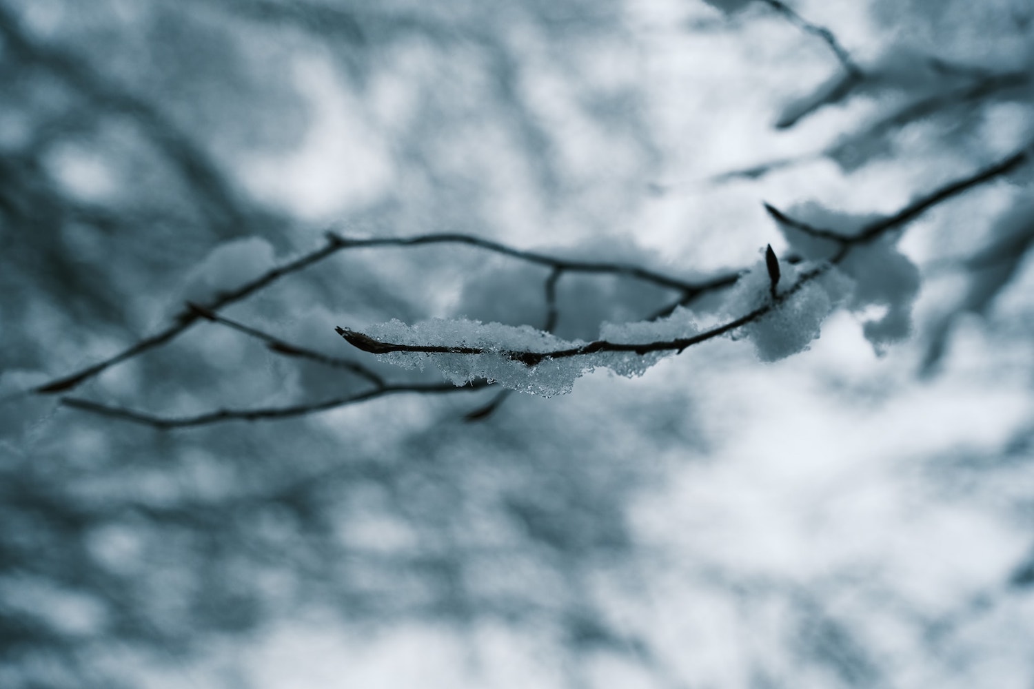 Winter Magic film recipe sample photo