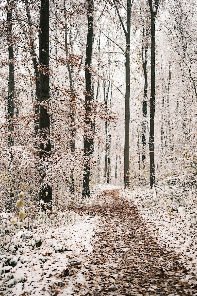 Winter Magic film recipe sample photo