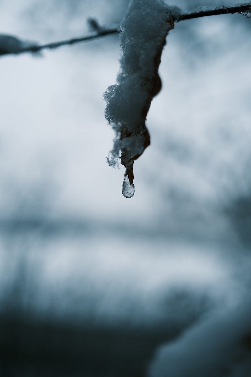 Winter Magic film recipe sample photo