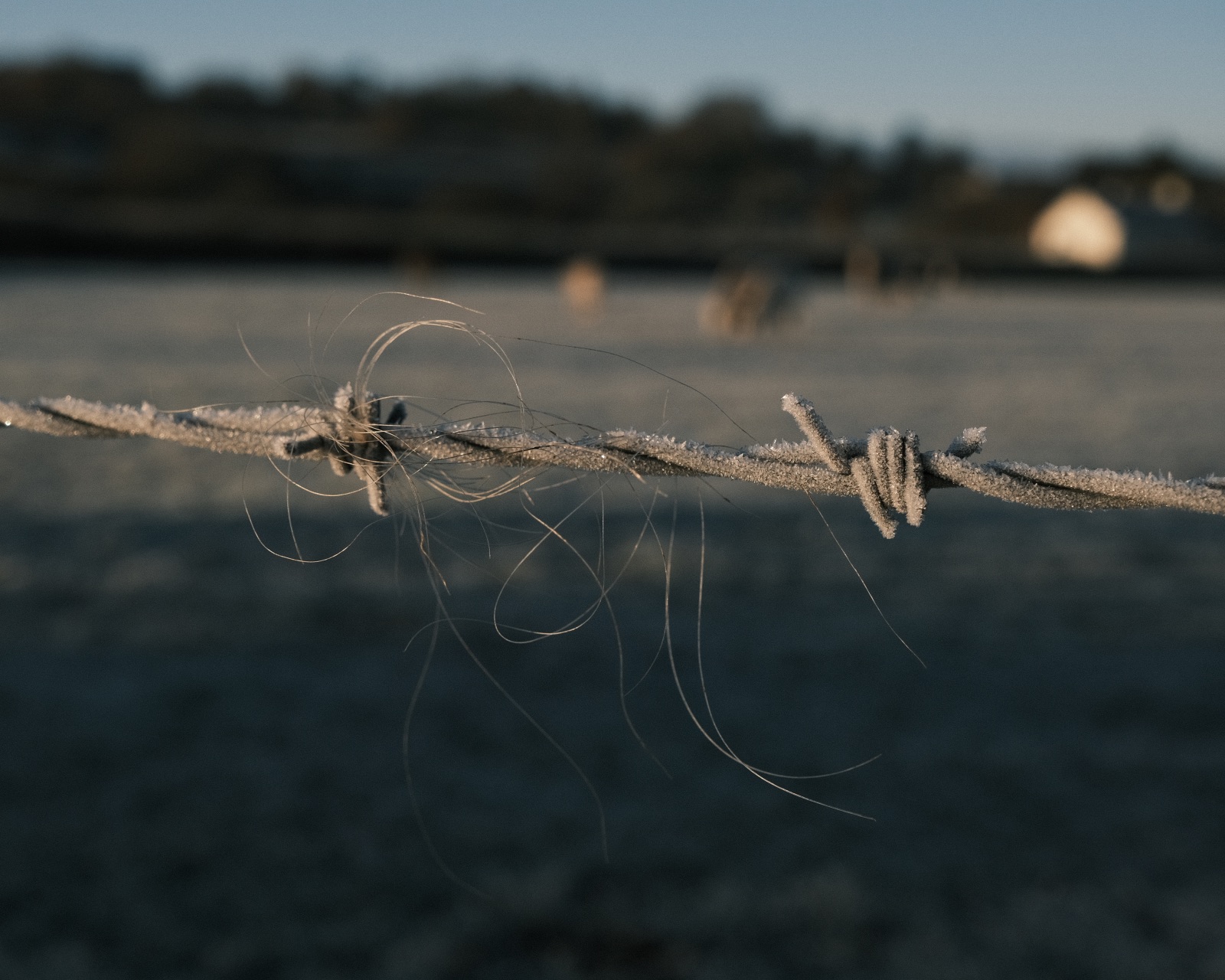 Catch 22, a Cool Recipe for Cold Days