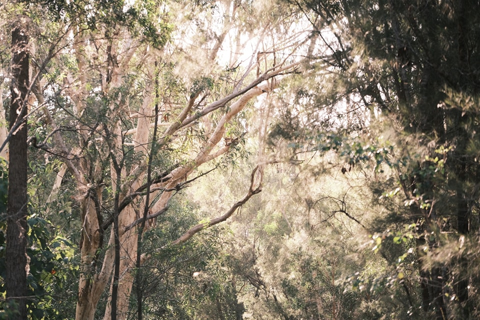 Mother Superia film recipe photo by Darren Urda